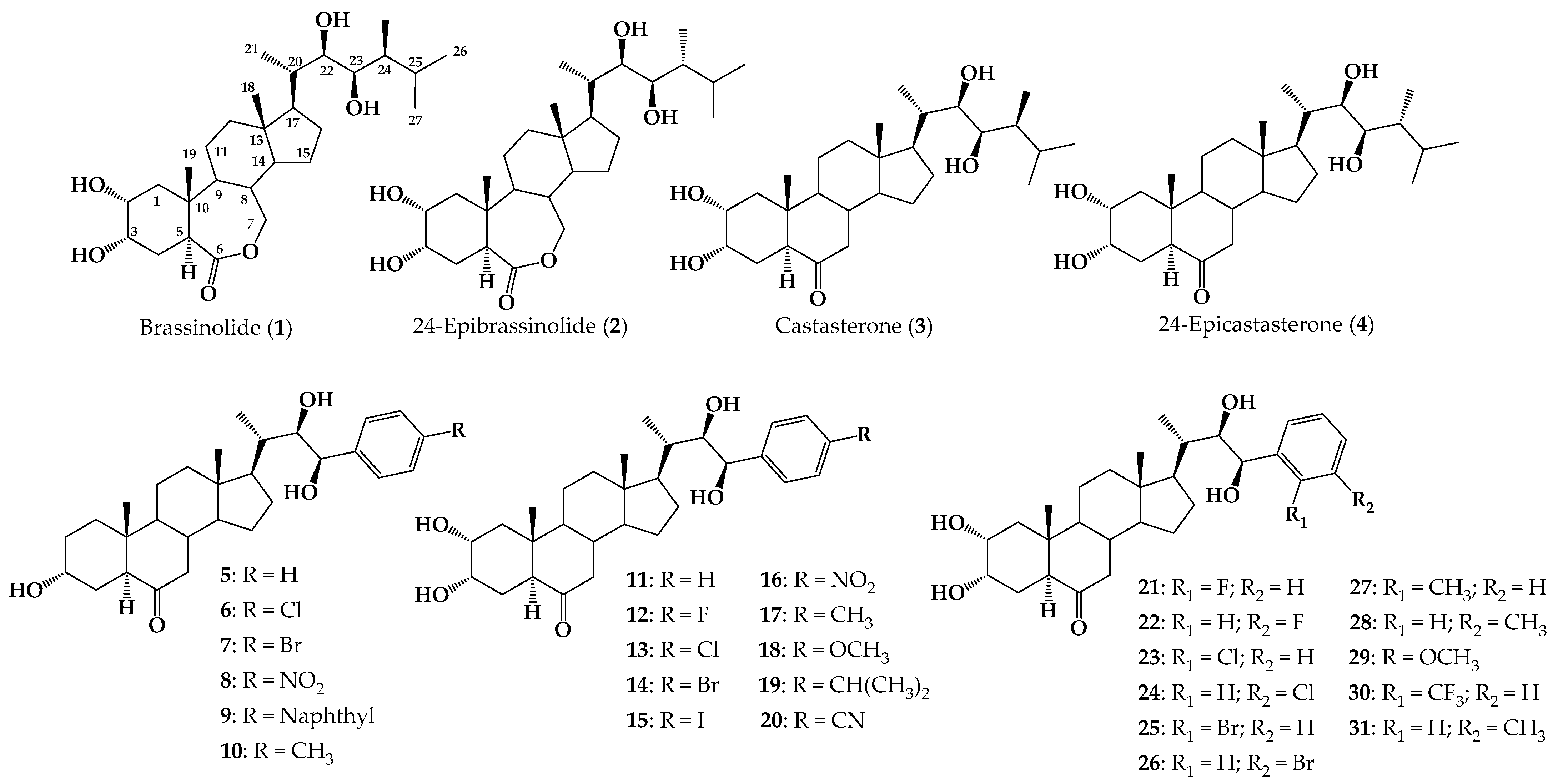 Ijms 25 07515 g001 Ijms 25 07515 g001