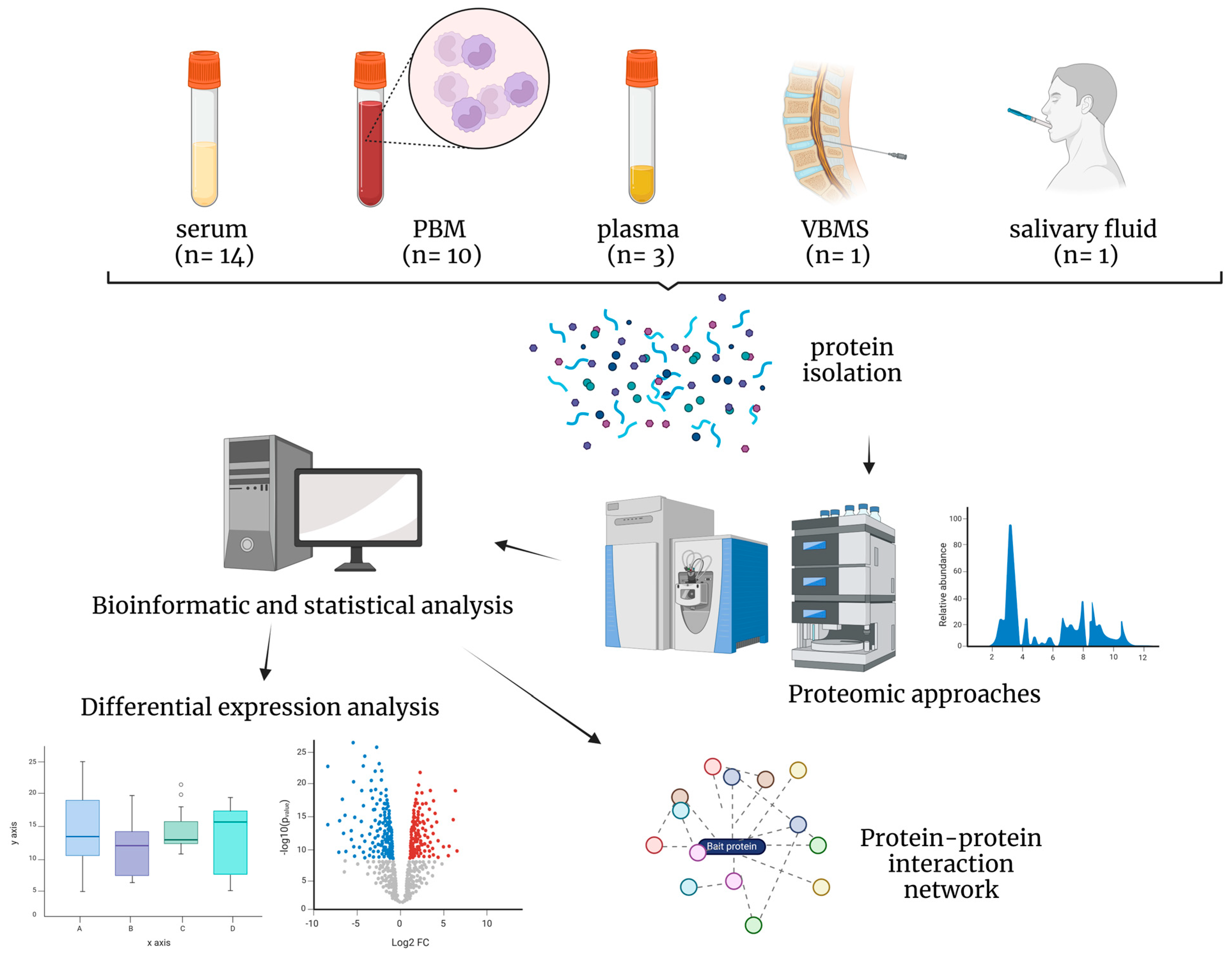 Ijms 25 07526 g002 Ijms 25 07526 g002