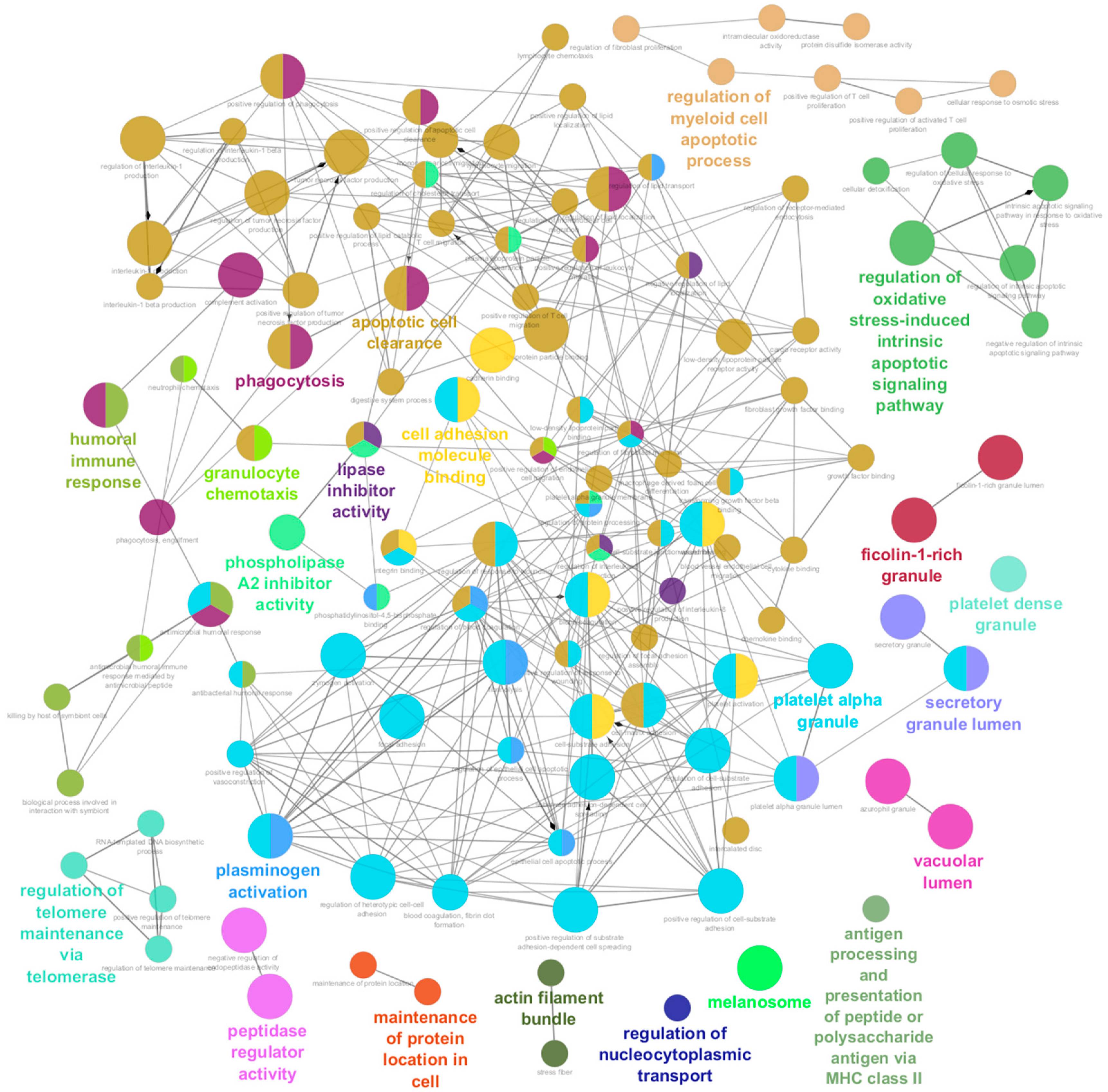 Ijms 25 07526 g004 Ijms 25 07526 g004