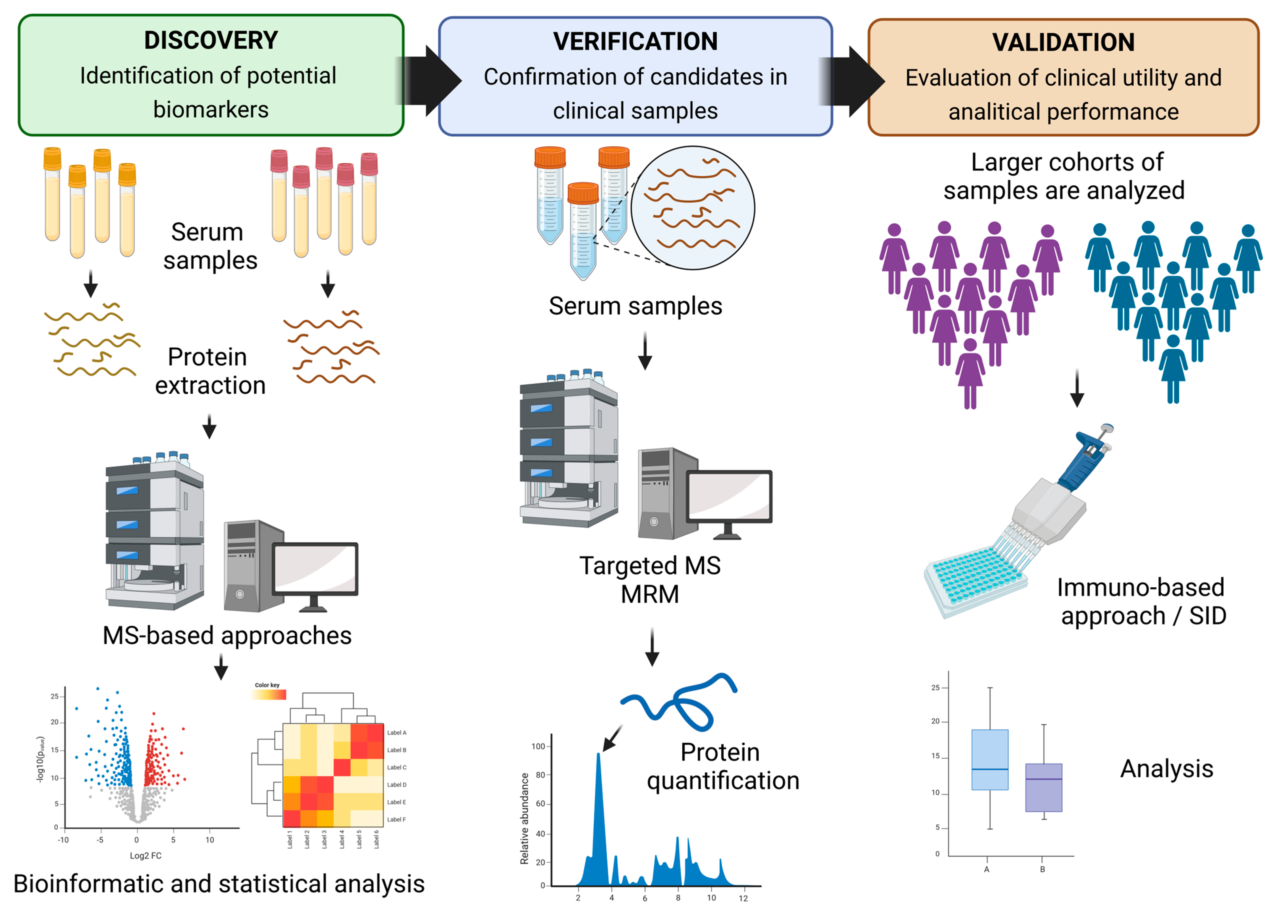 Ijms 25 07526 g006 Ijms 25 07526 g006