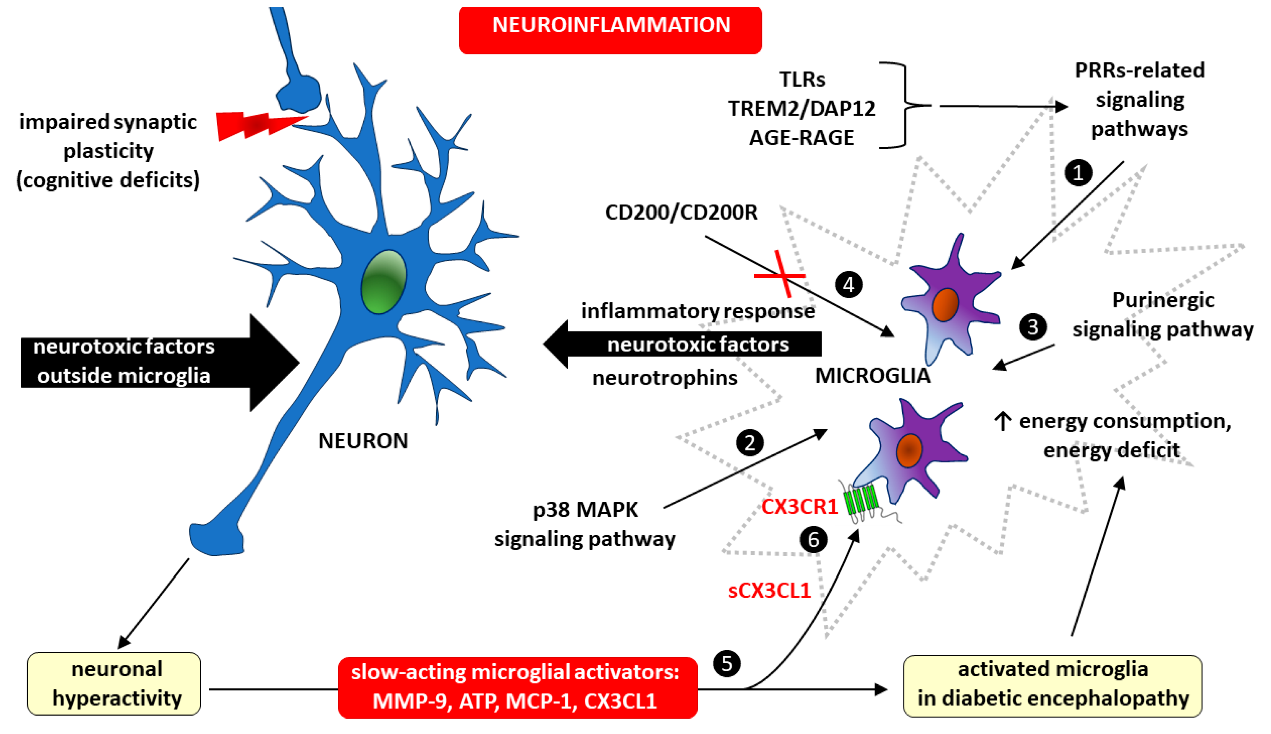 Ijms 25 07527 g003 Ijms 25 07527 g003
