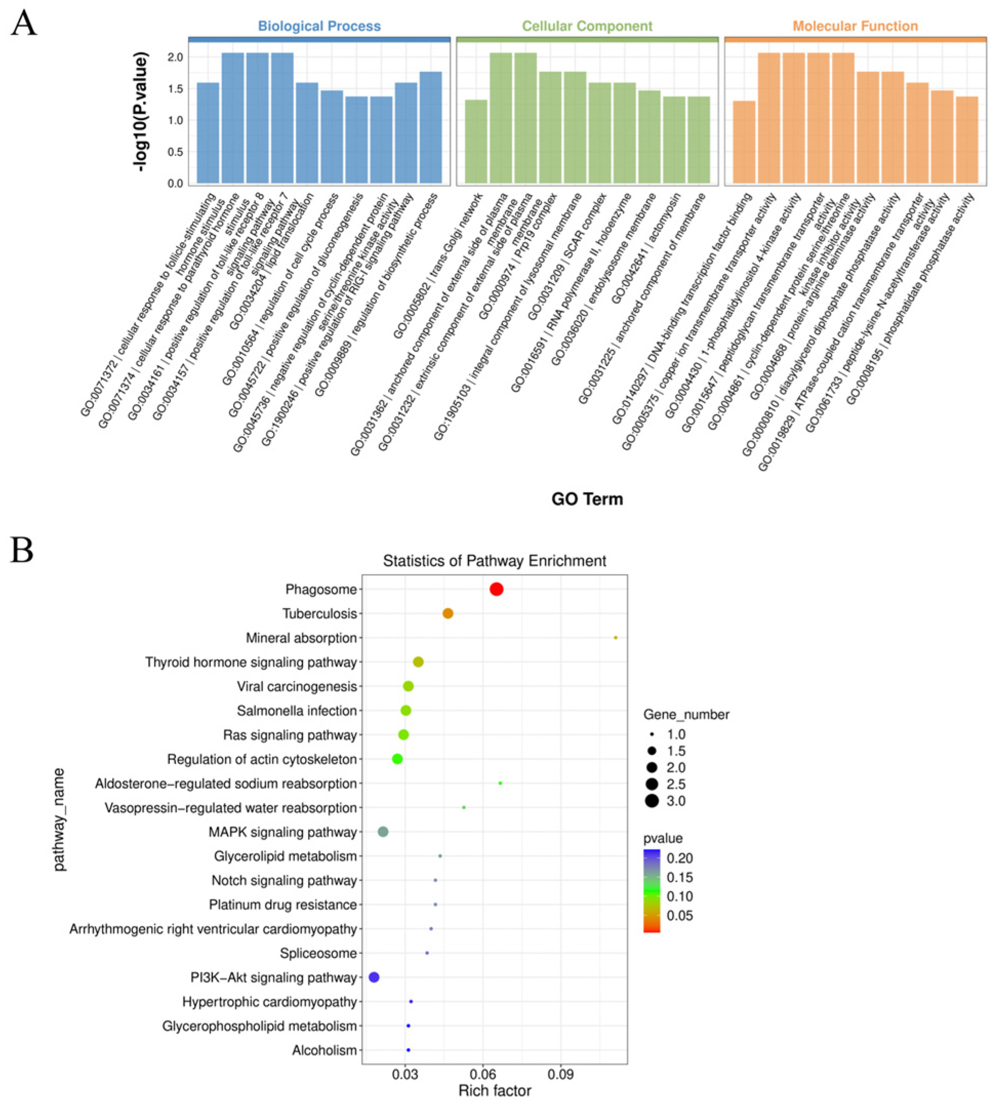 Ijms 25 07548 g003 Ijms 25 07548 g003