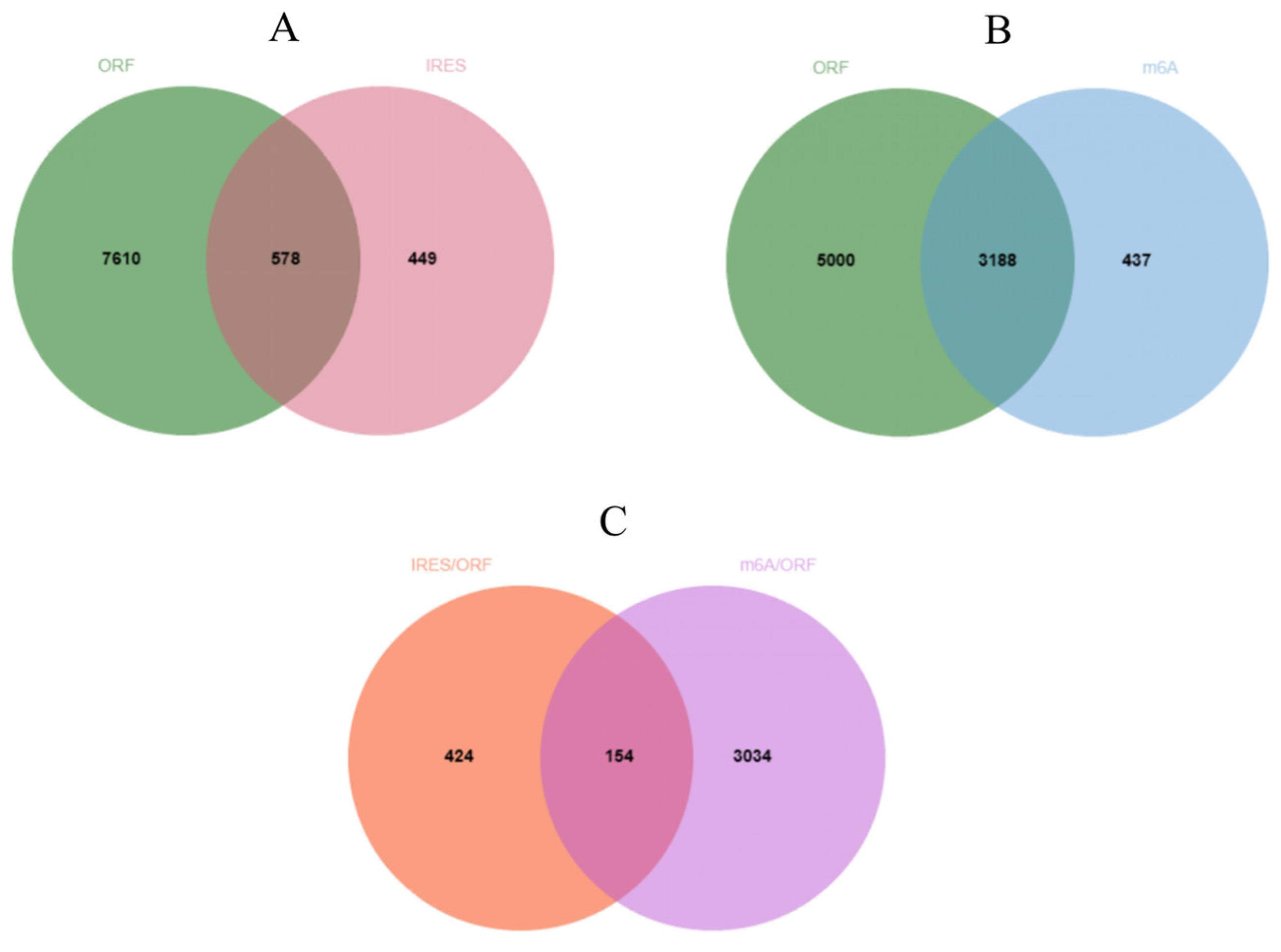 Ijms 25 07548 g005 Ijms 25 07548 g005