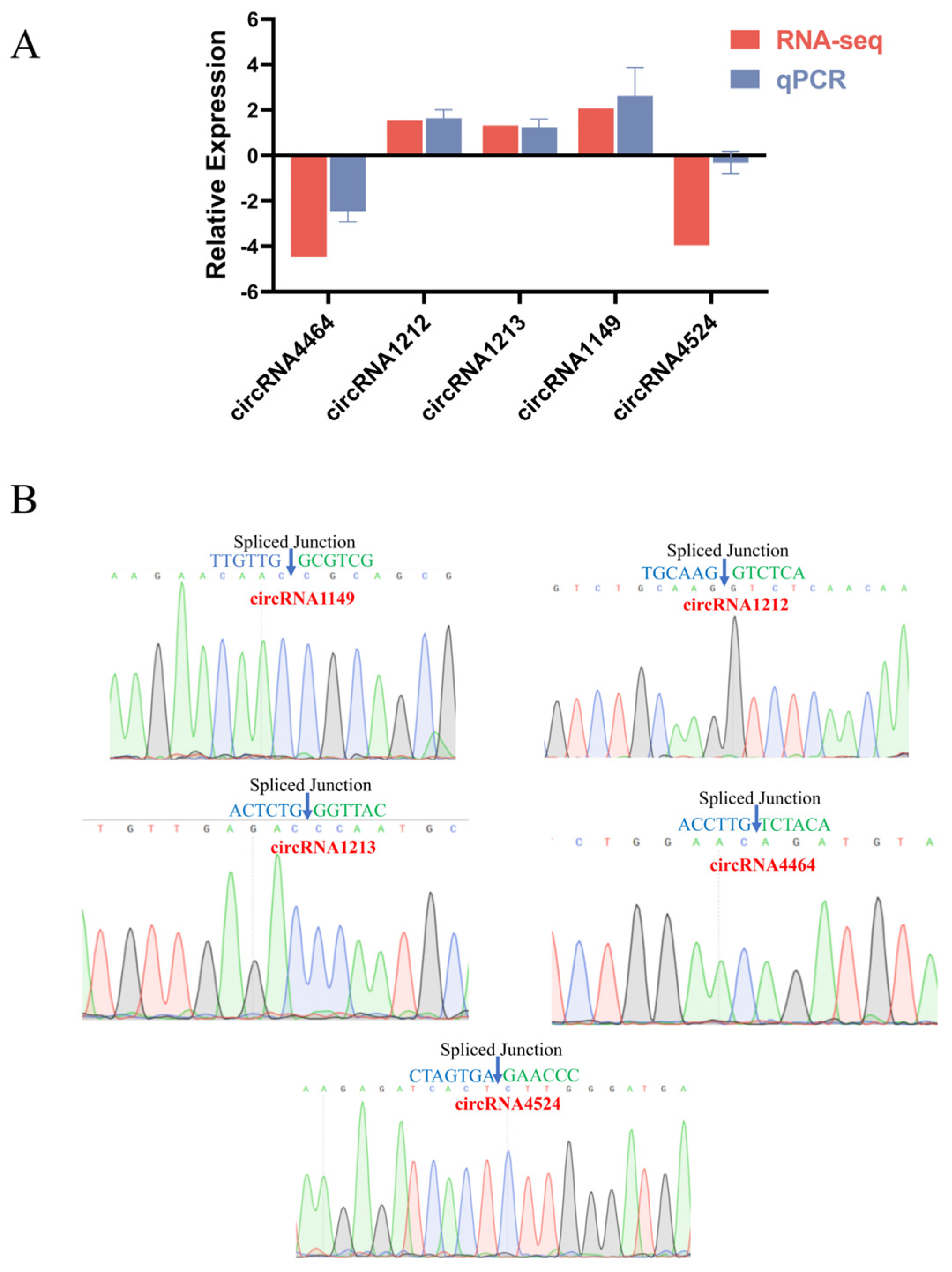 Ijms 25 07548 g006 Ijms 25 07548 g006