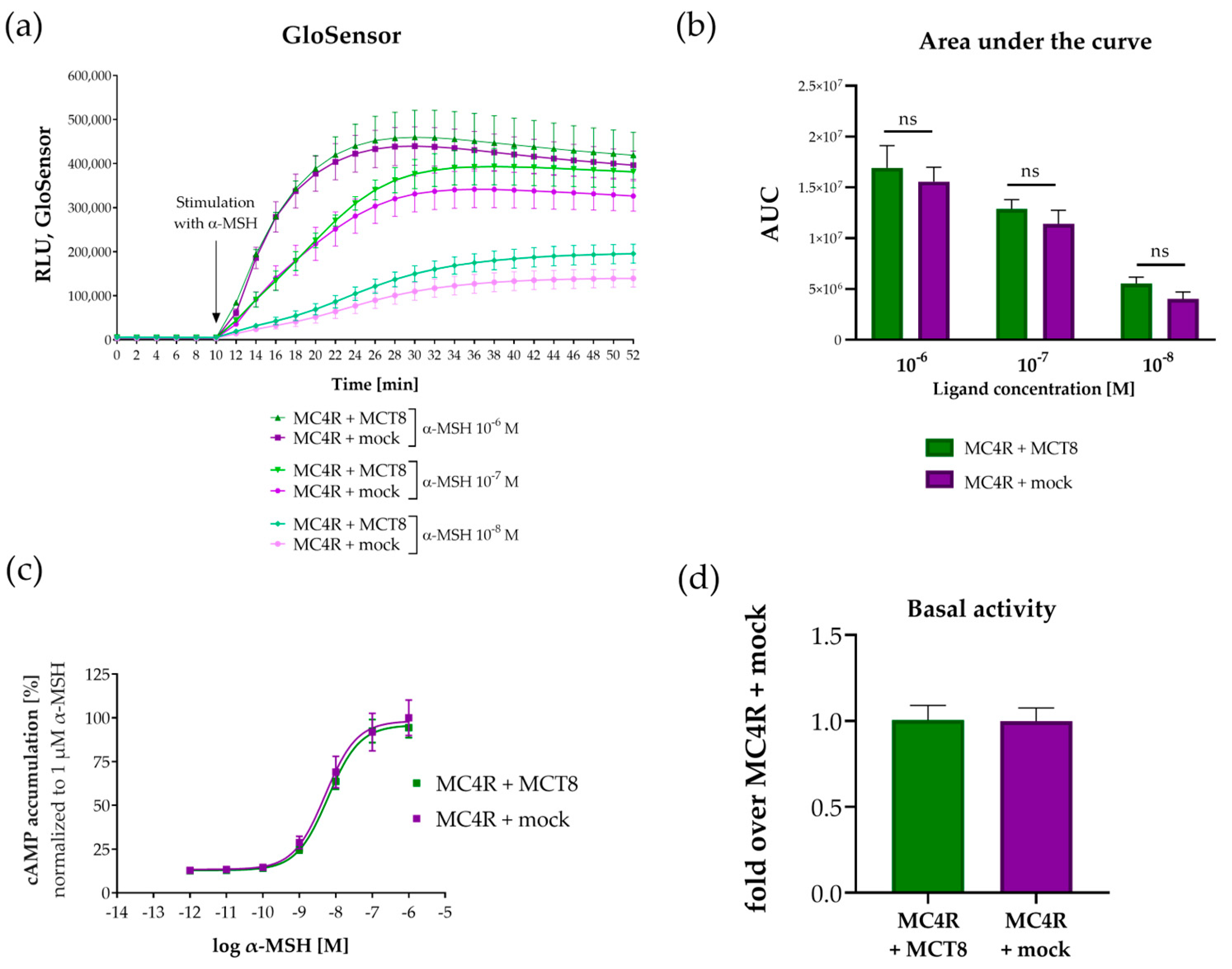 Ijms 25 07565 g003 Ijms 25 07565 g003