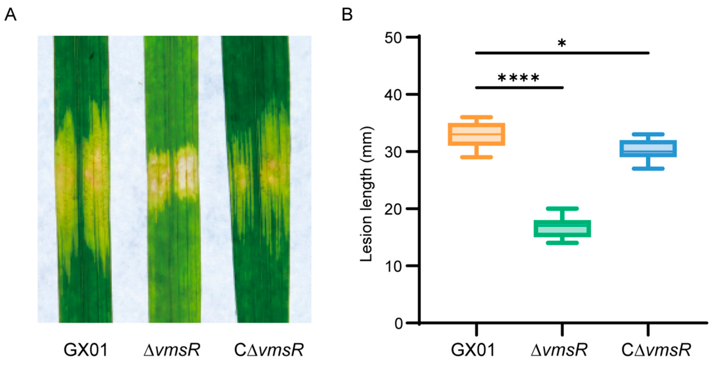 Ijms 25 07595 g002 Ijms 25 07595 g002