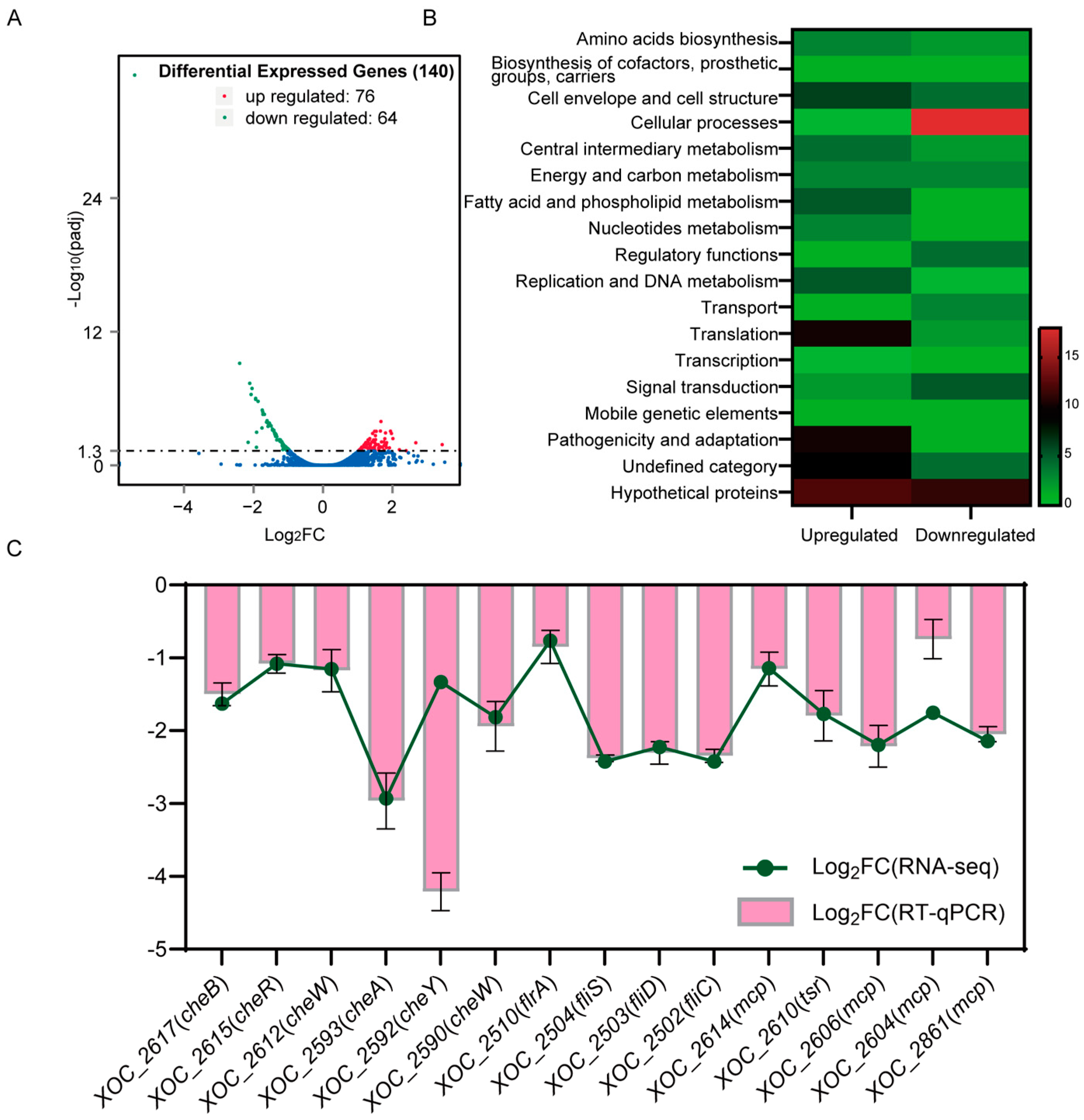 Ijms 25 07595 g003 Ijms 25 07595 g003