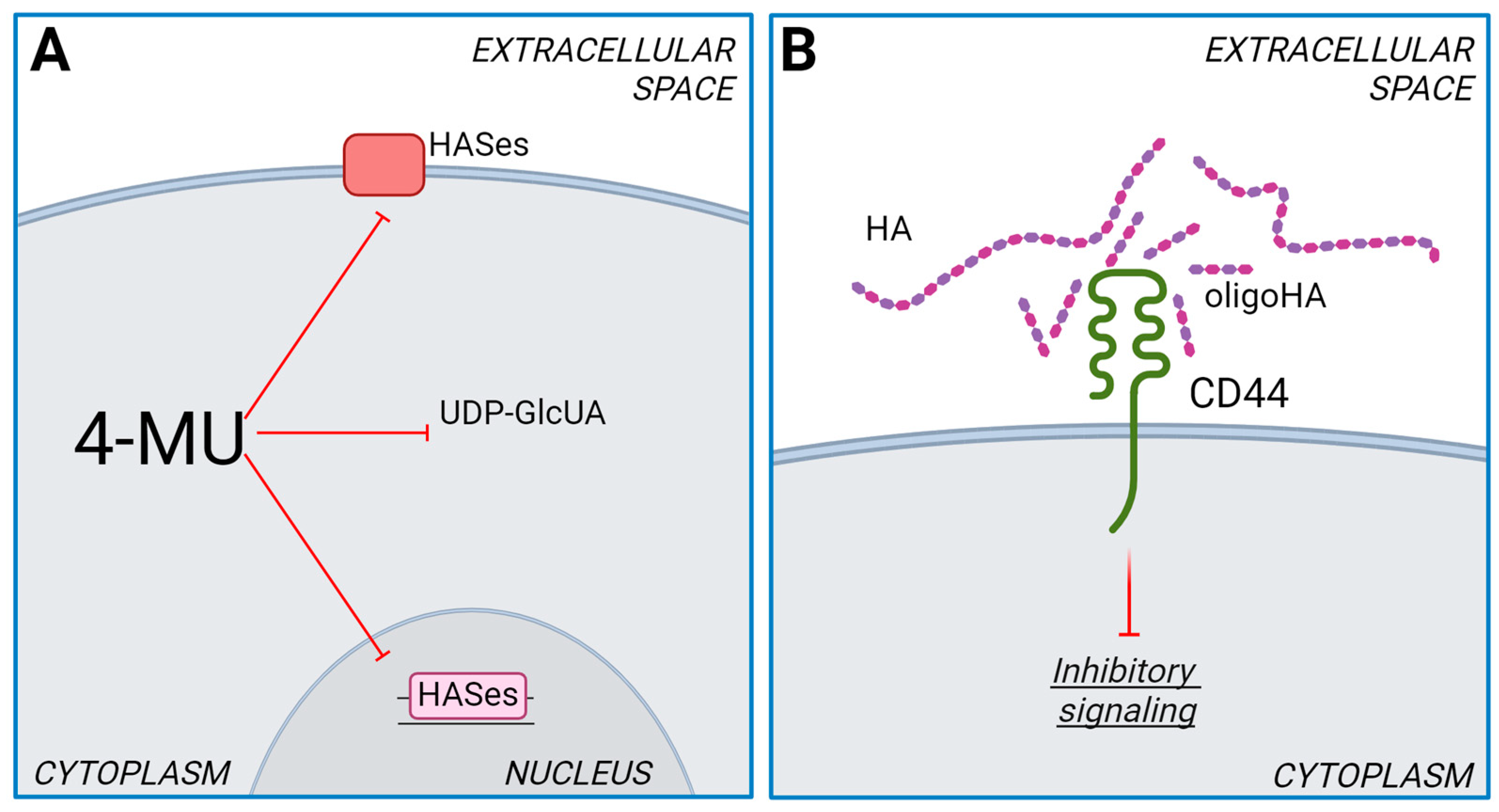 Ijms 25 07607 g002 Ijms 25 07607 g002