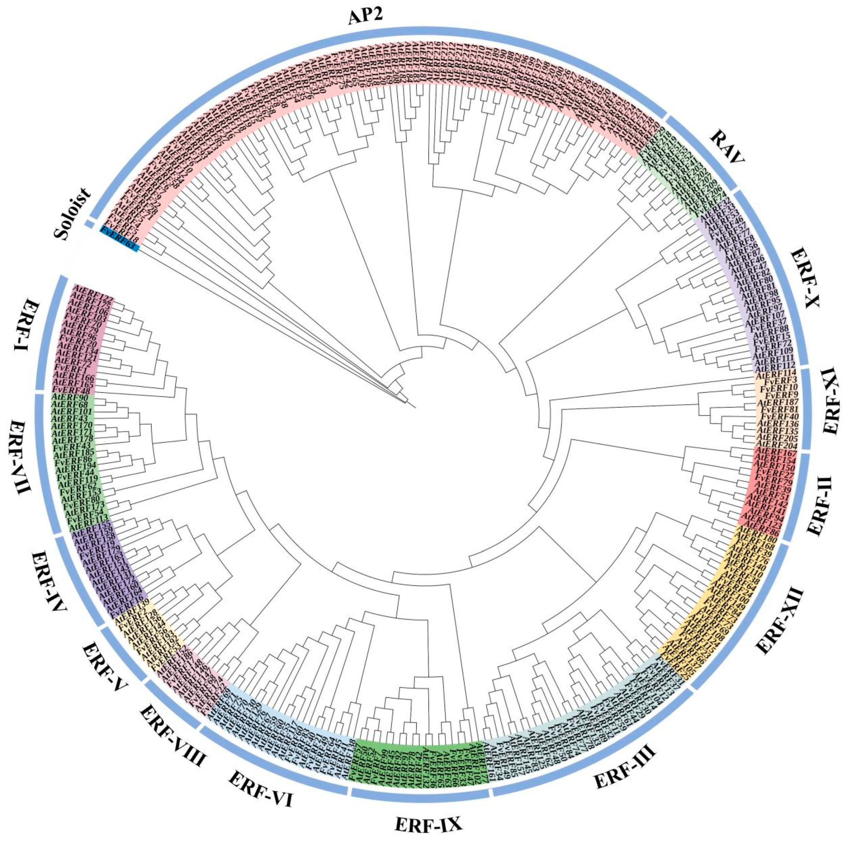 Ijms 25 07614 g001 Ijms 25 07614 g001