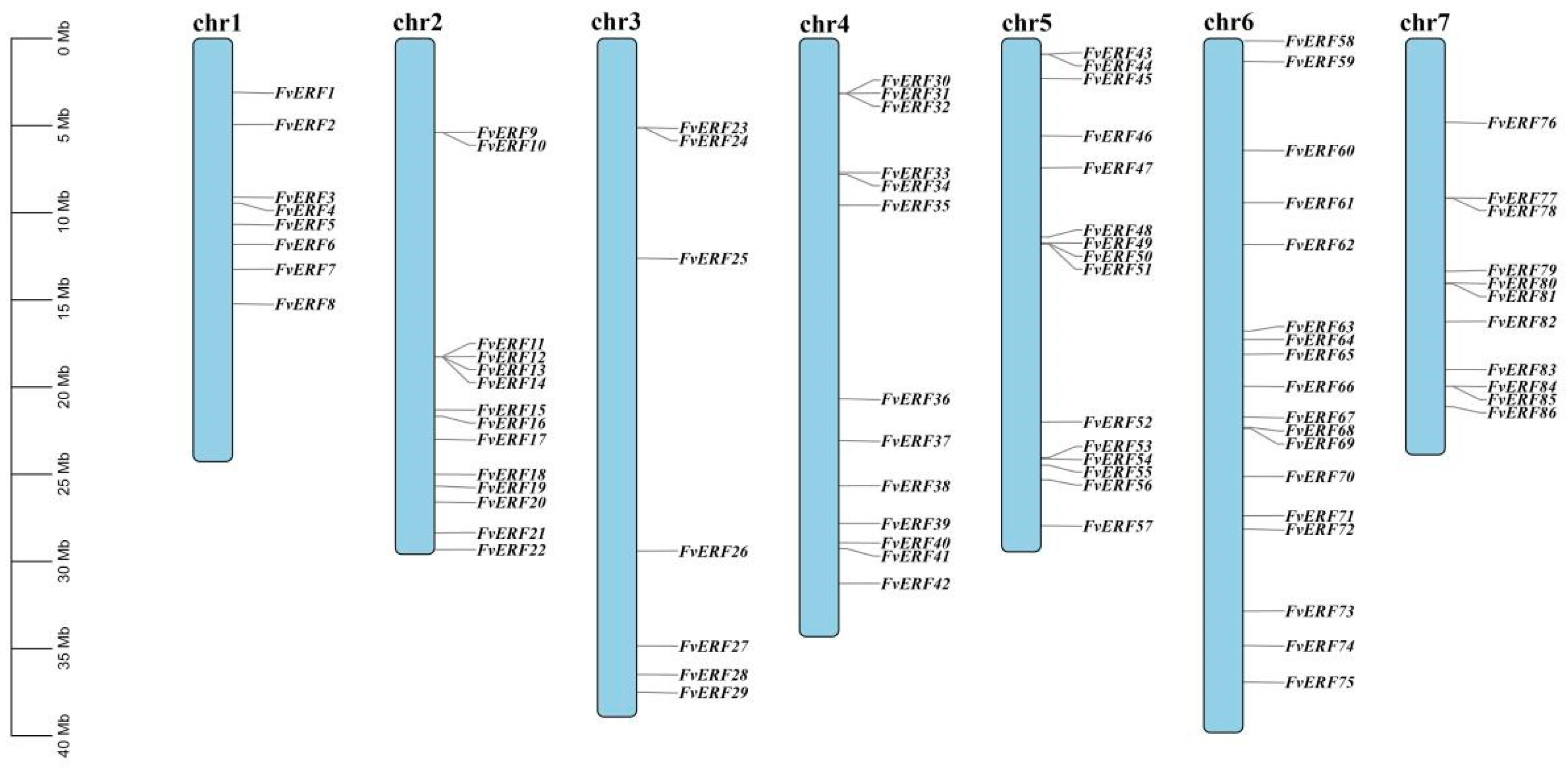 Ijms 25 07614 g002 Ijms 25 07614 g002