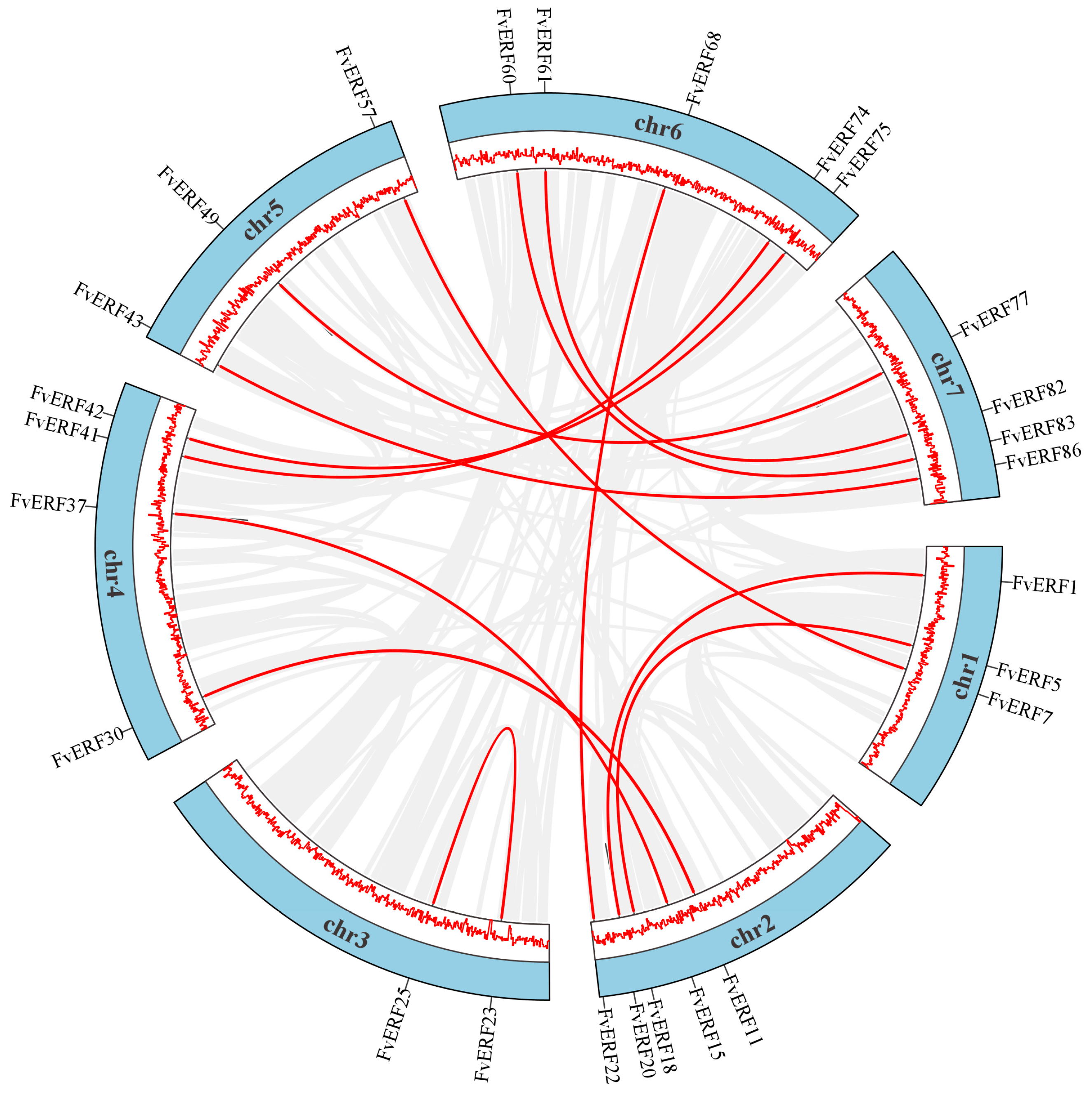 Ijms 25 07614 g003 Ijms 25 07614 g003