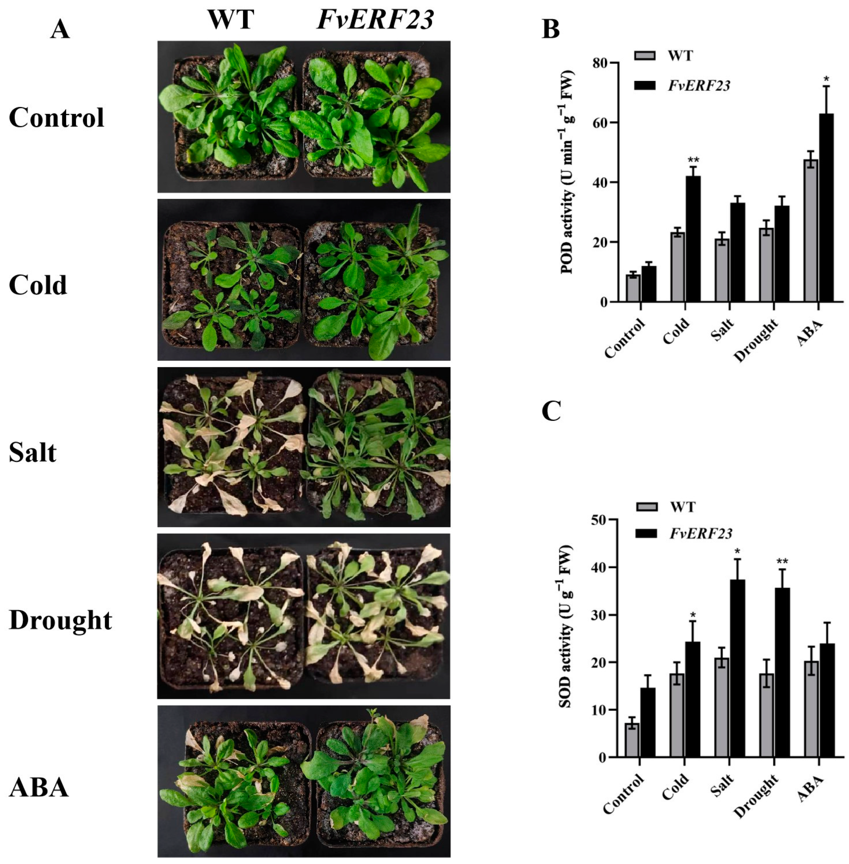 Ijms 25 07614 g009 Ijms 25 07614 g009