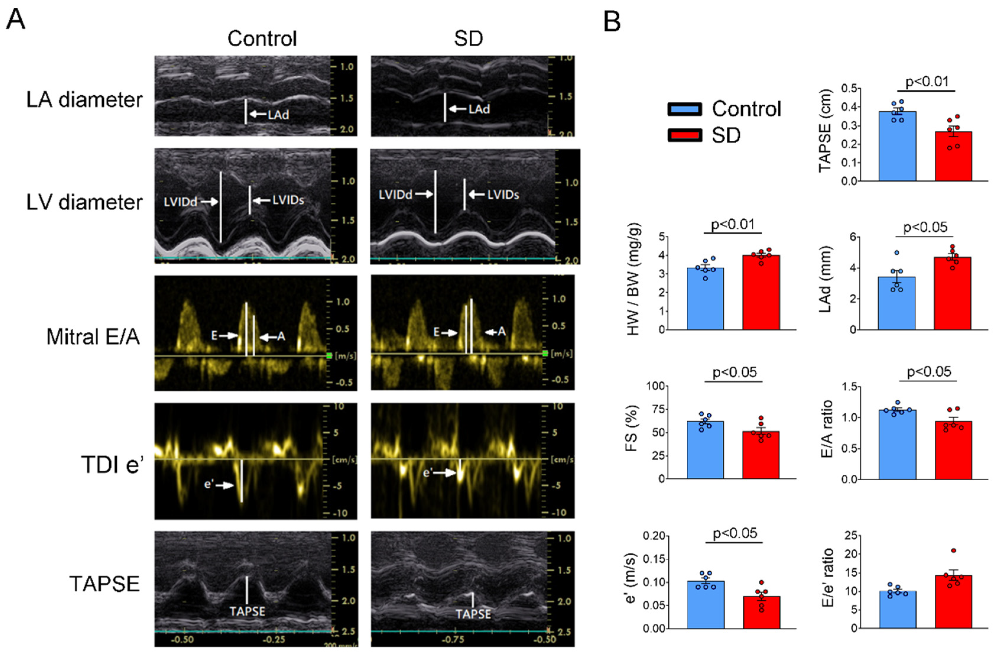 Ijms 25 07619 g001 Ijms 25 07619 g001