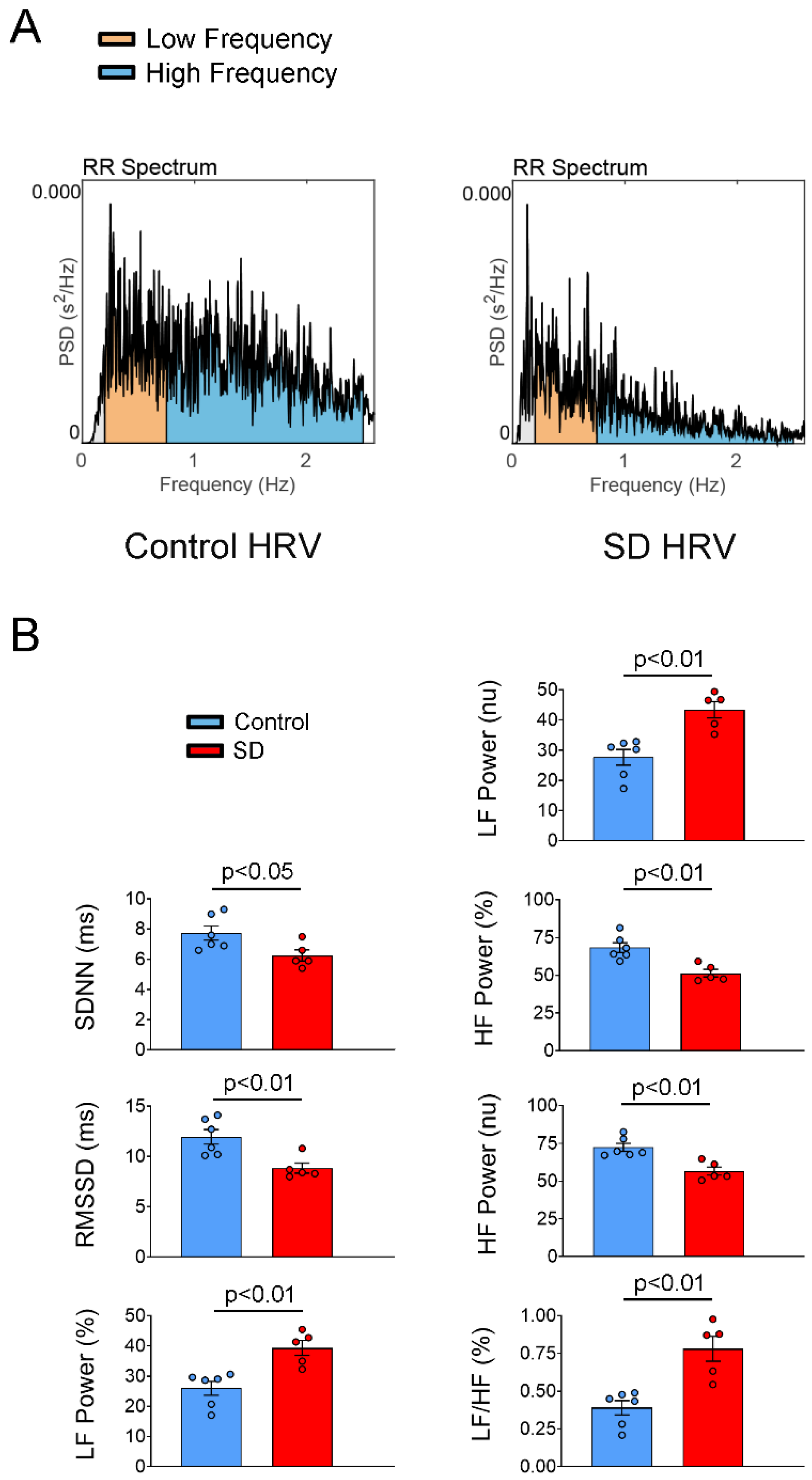 Ijms 25 07619 g003 Ijms 25 07619 g003