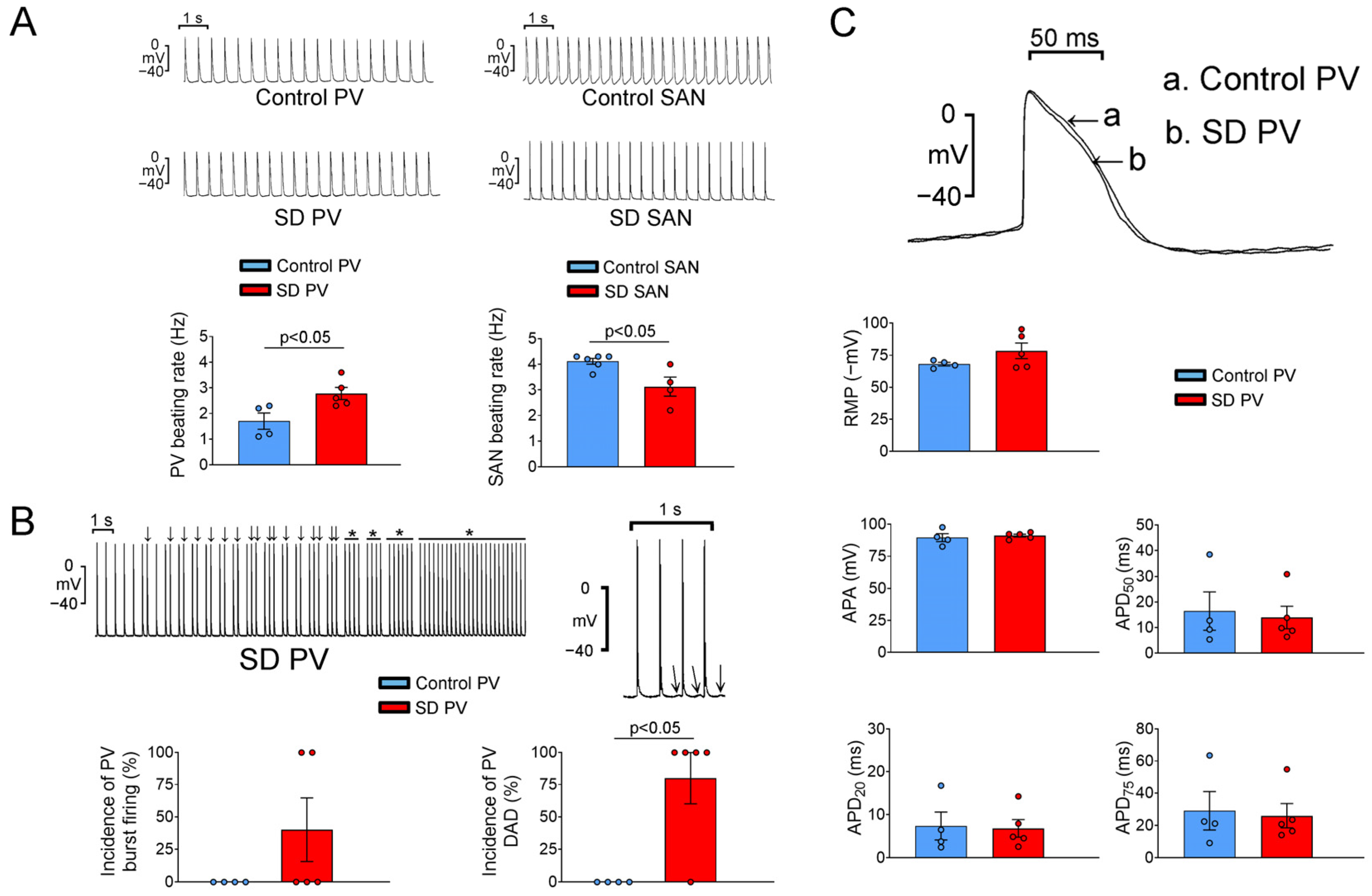 Ijms 25 07619 g005 Ijms 25 07619 g005