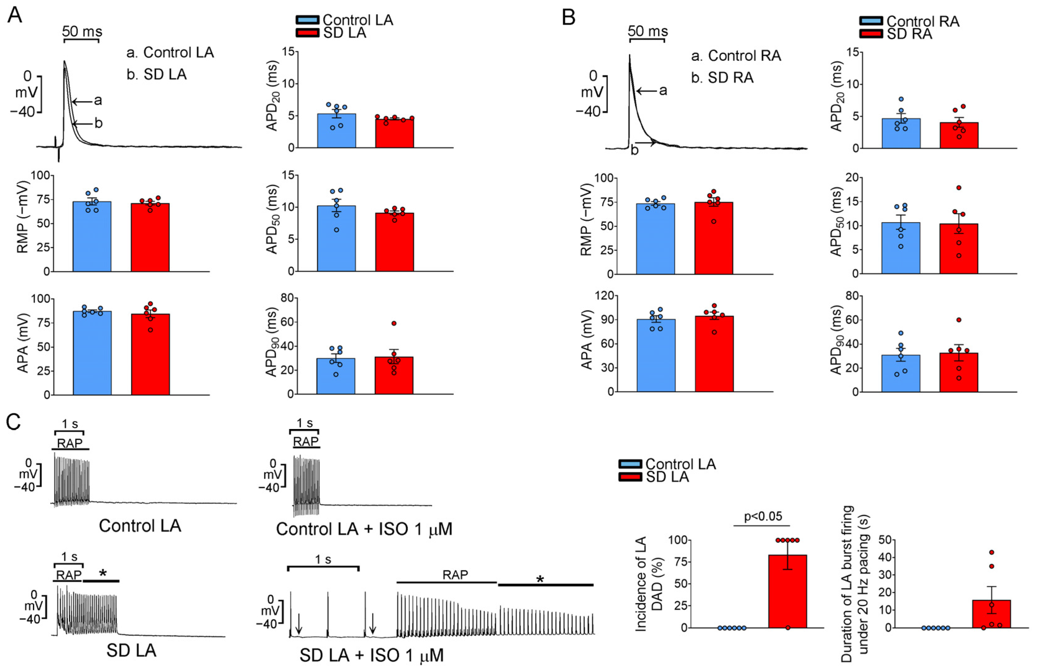 Ijms 25 07619 g006 Ijms 25 07619 g006