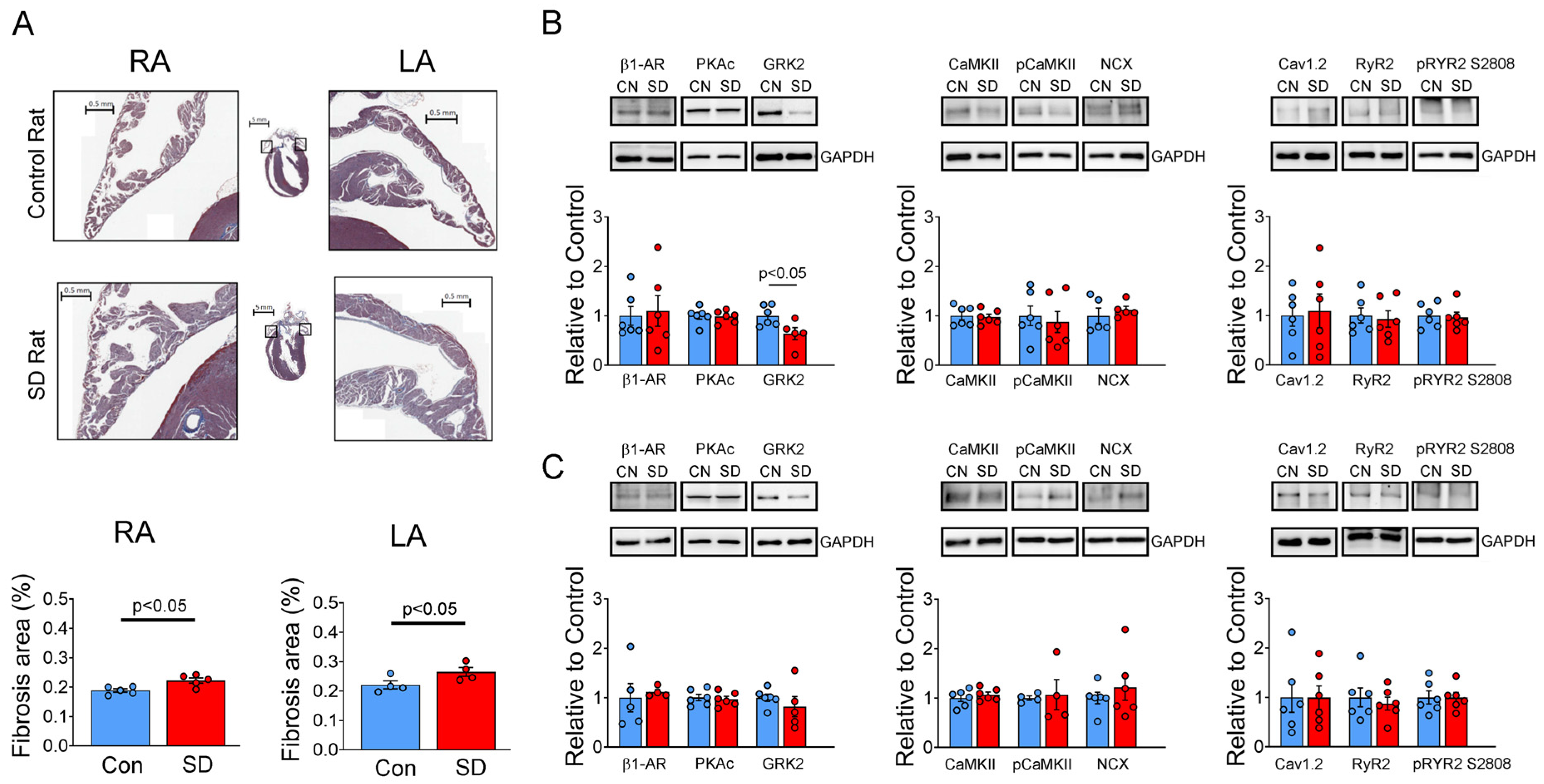 Ijms 25 07619 g007 Ijms 25 07619 g007