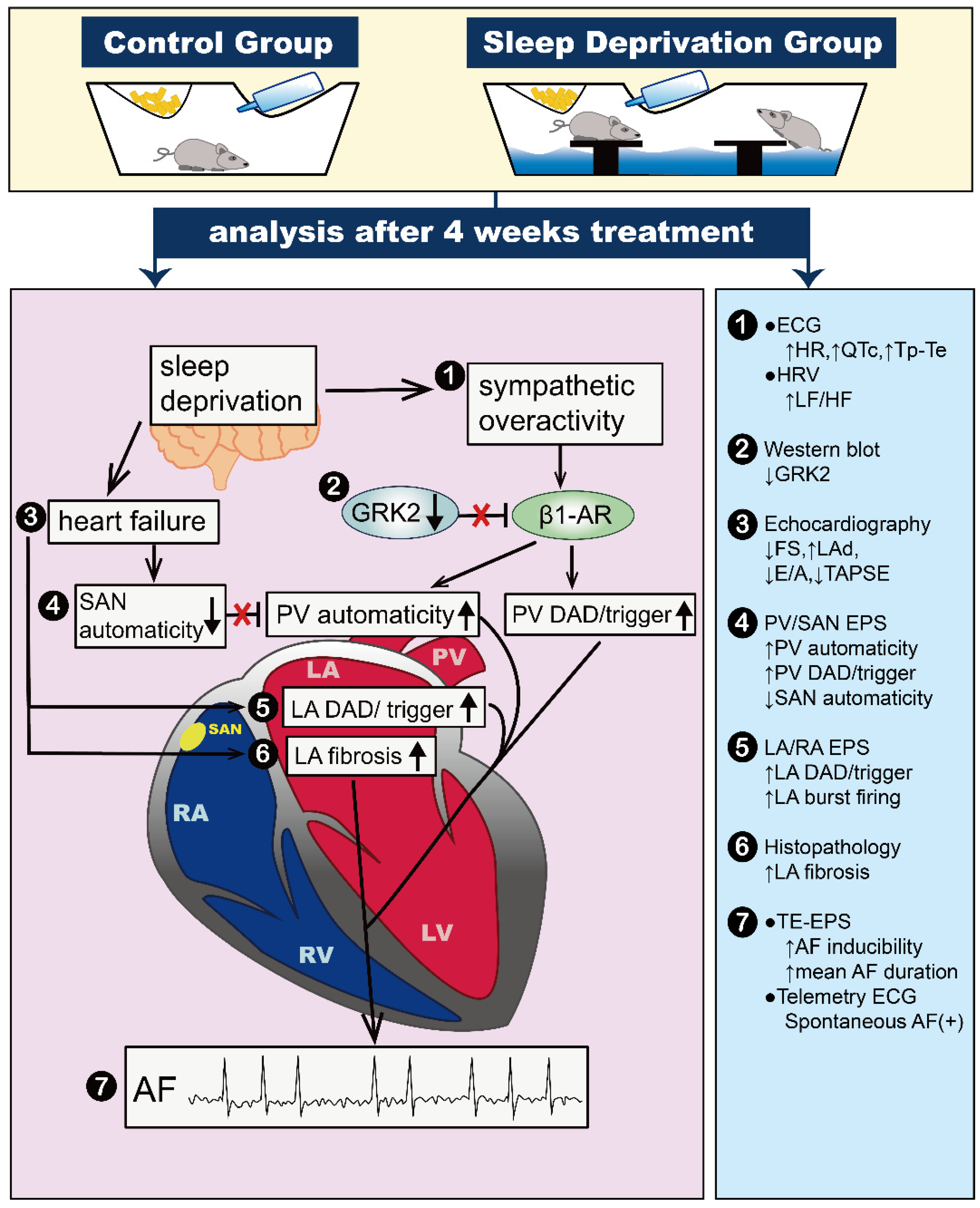 Ijms 25 07619 g008 Ijms 25 07619 g008