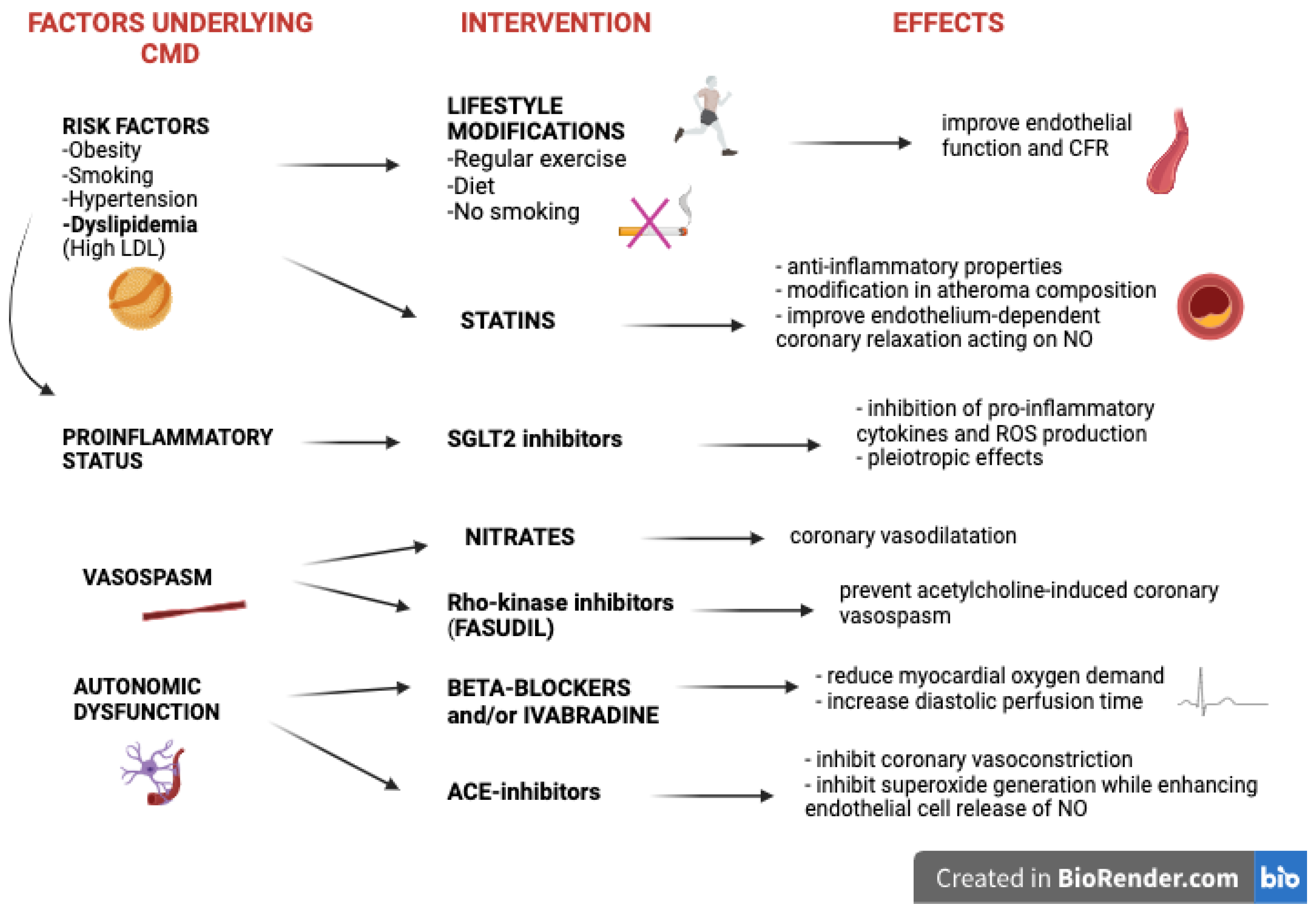 Ijms 25 07628 g002 Ijms 25 07628 g002