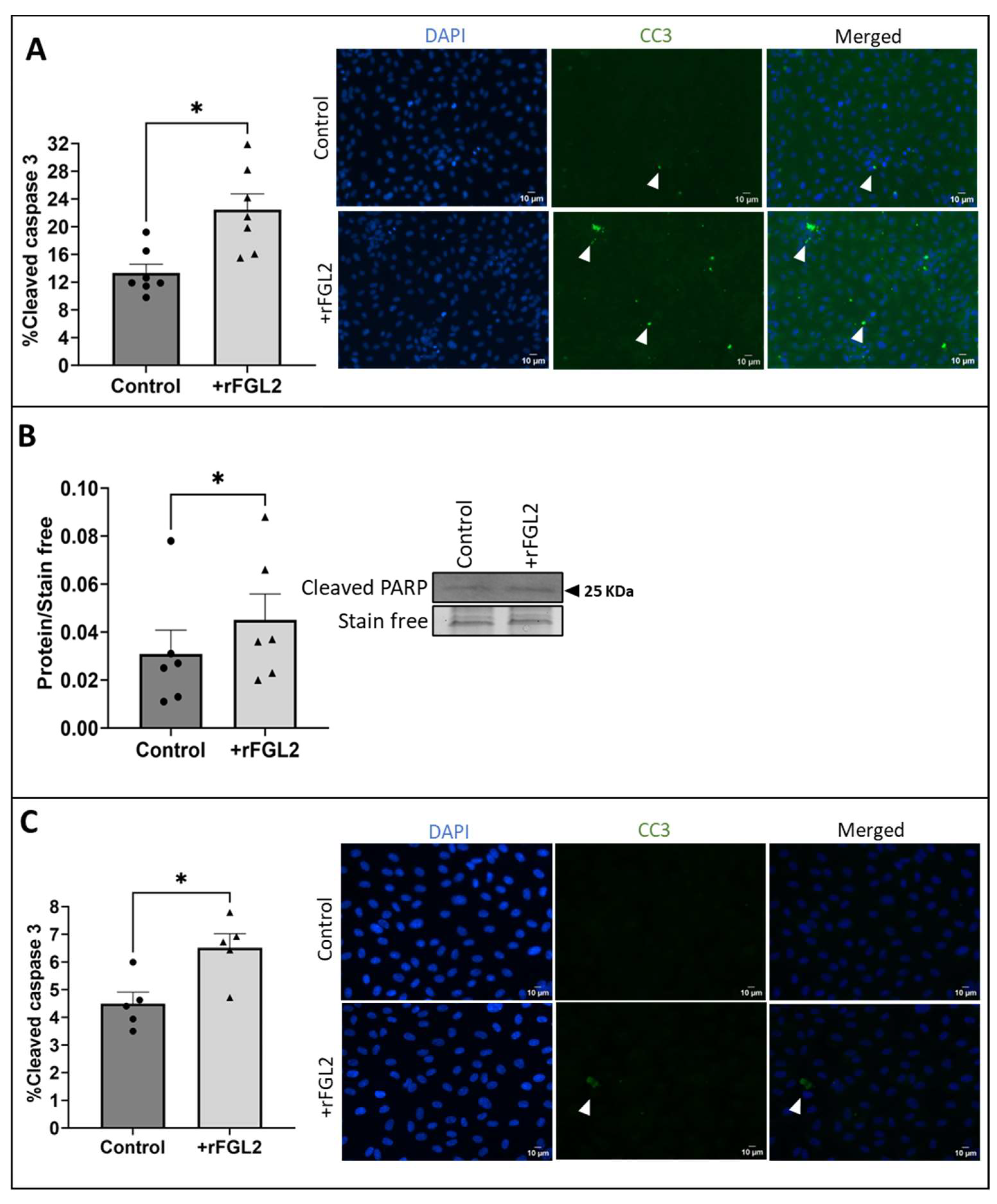 Ijms 25 07638 g004 Ijms 25 07638 g004
