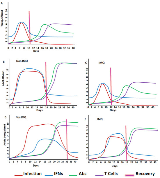 Immune Stimulation with Imiquimod to Best Face SARS-CoV-2