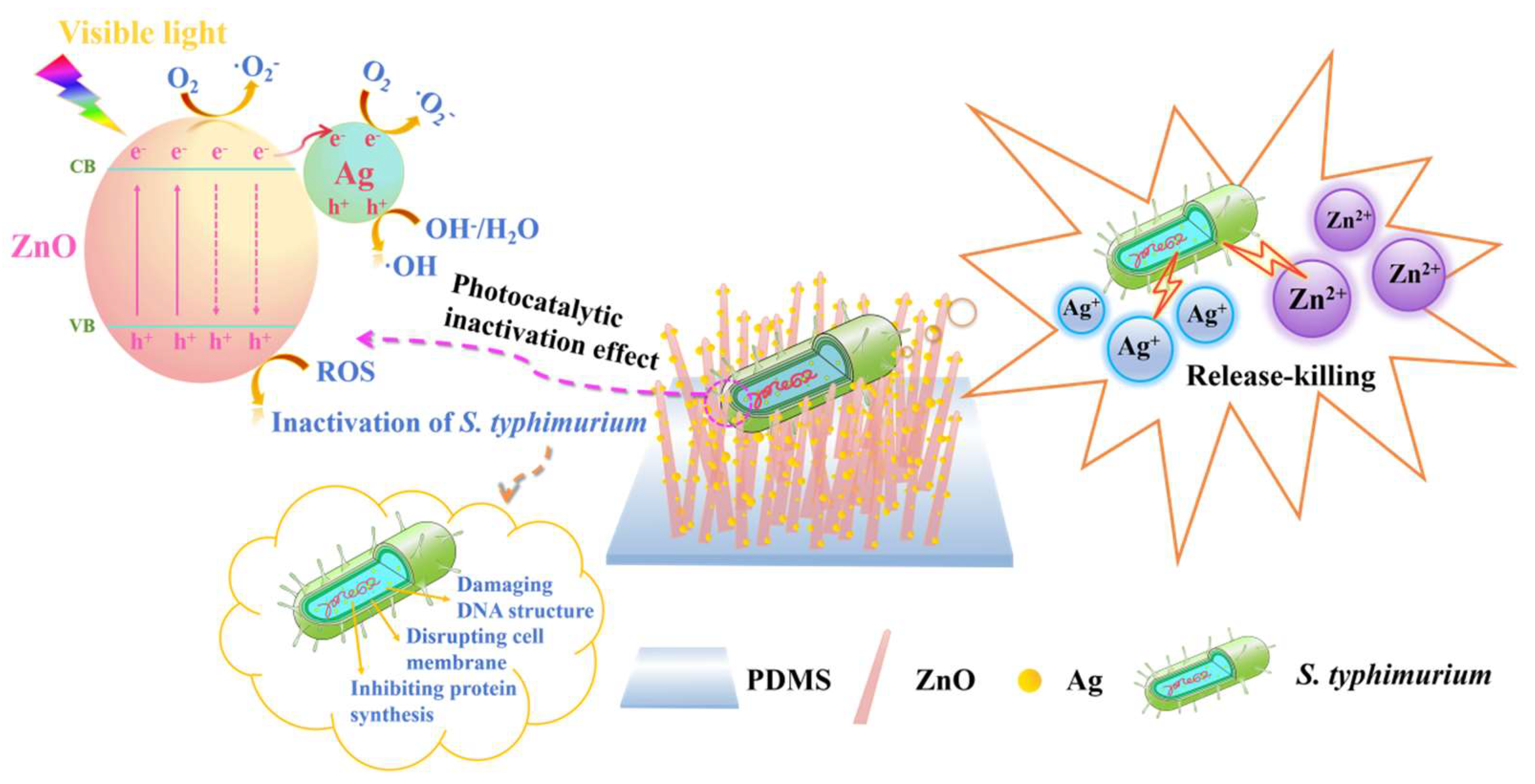 Ijms 25 07675 sch001