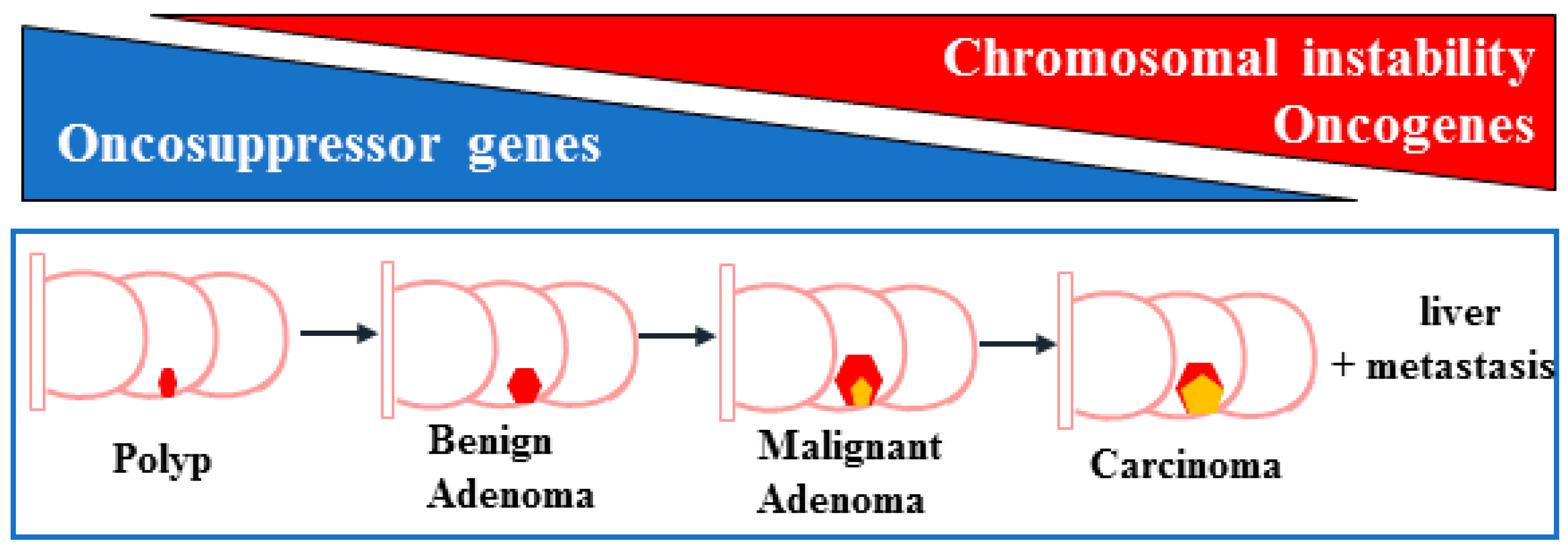 Ijms 25 07678 g002 Ijms 25 07678 g002