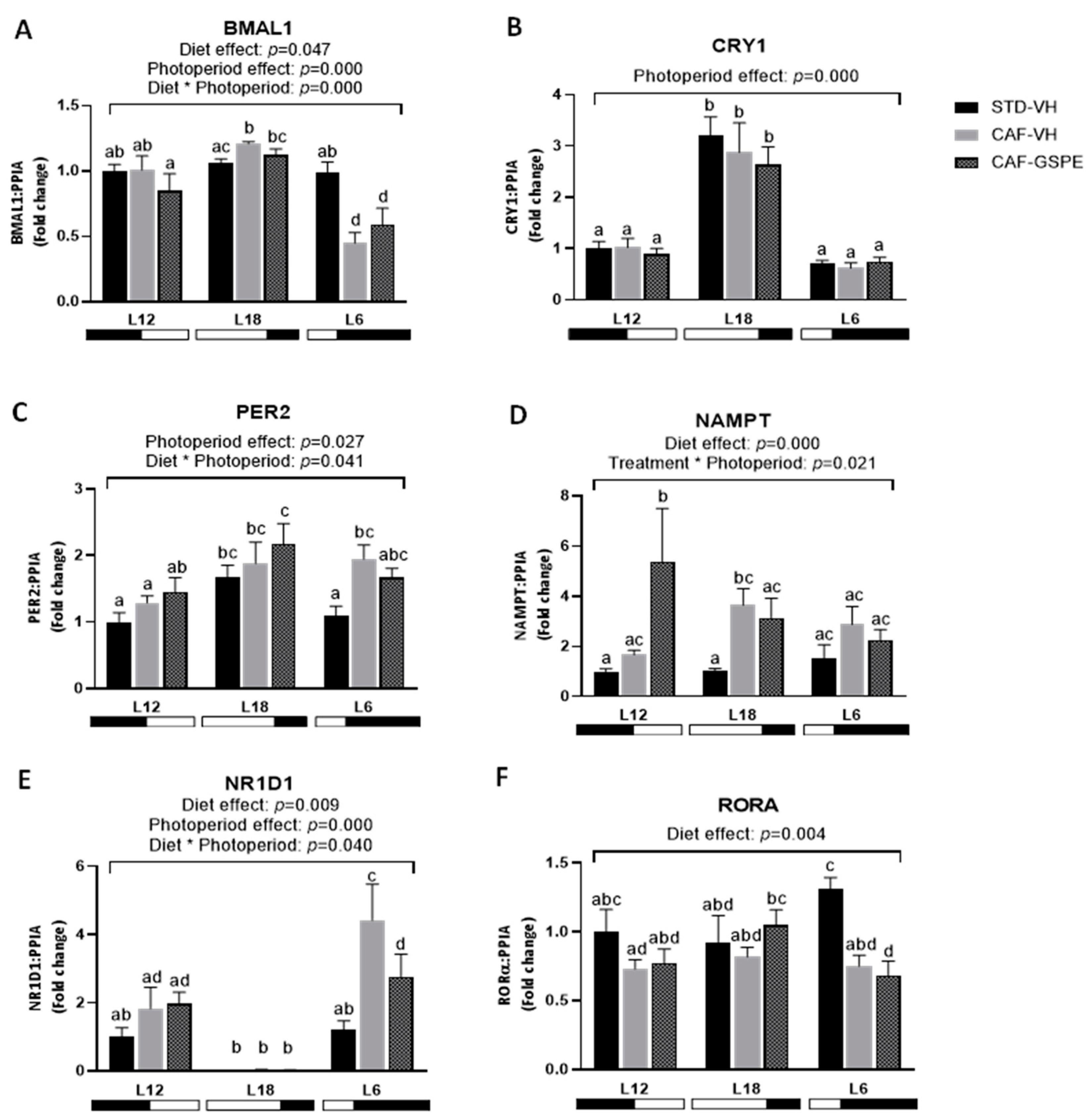 Ijms 25 07713 g004 Ijms 25 07713 g004