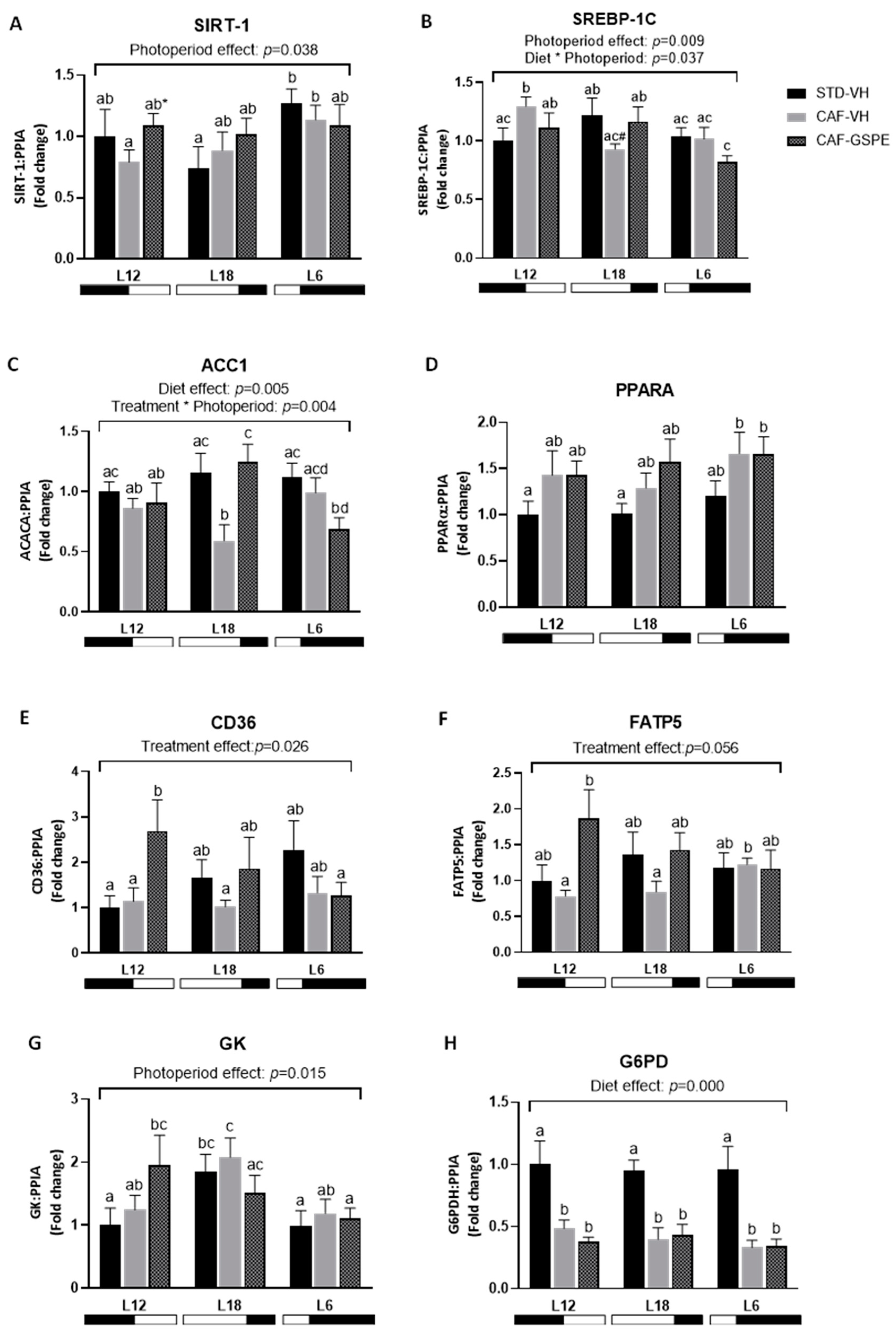 Ijms 25 07713 g005 Ijms 25 07713 g005