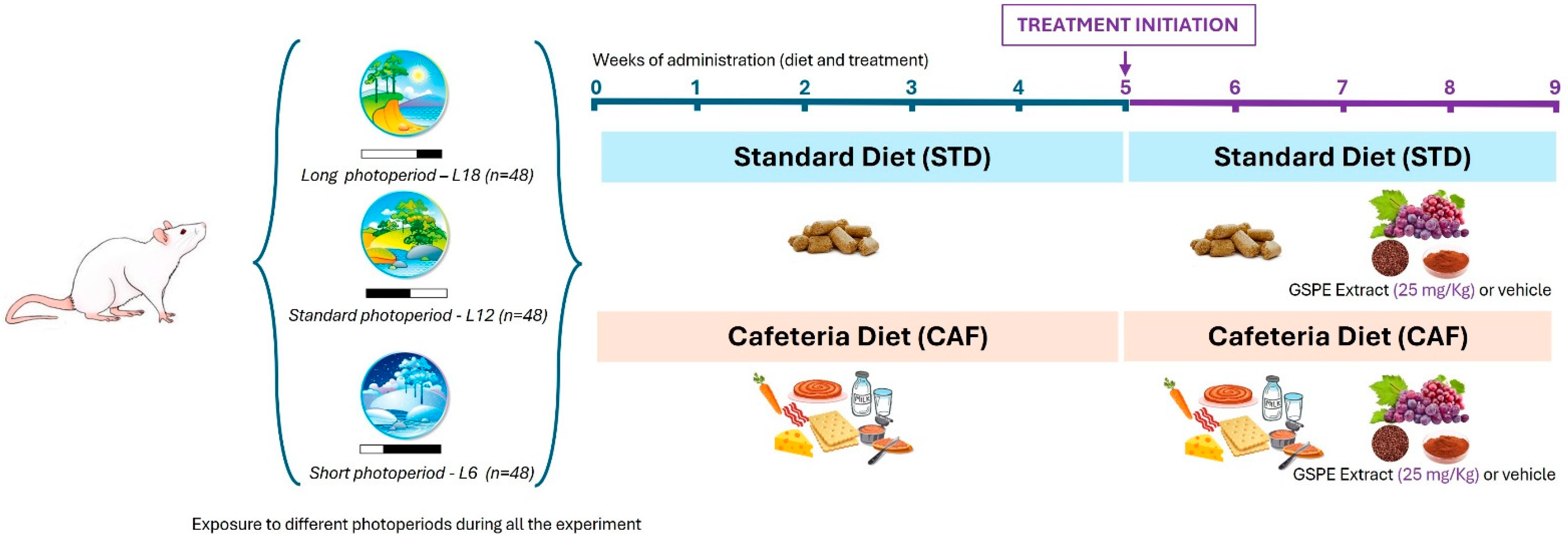Ijms 25 07713 g009 Ijms 25 07713 g009