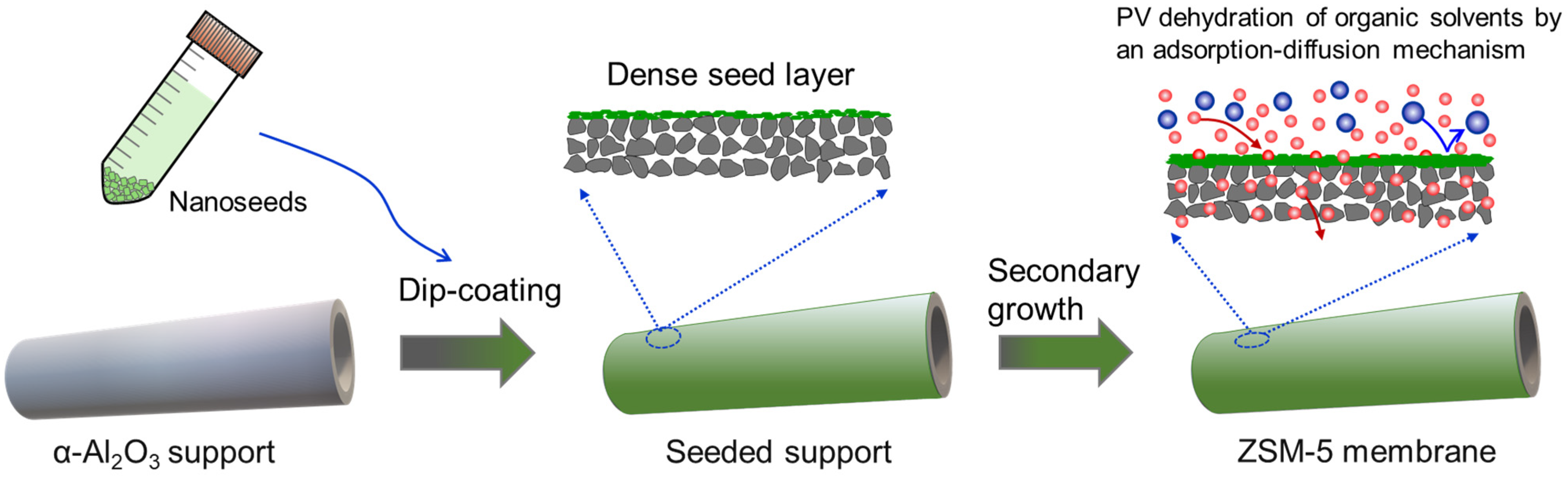 Ijms 25 07723 sch001