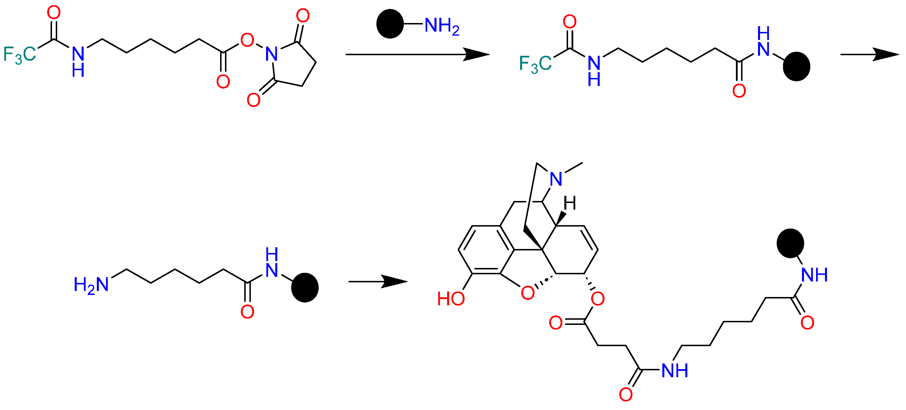 Ijms 25 07781 sch001