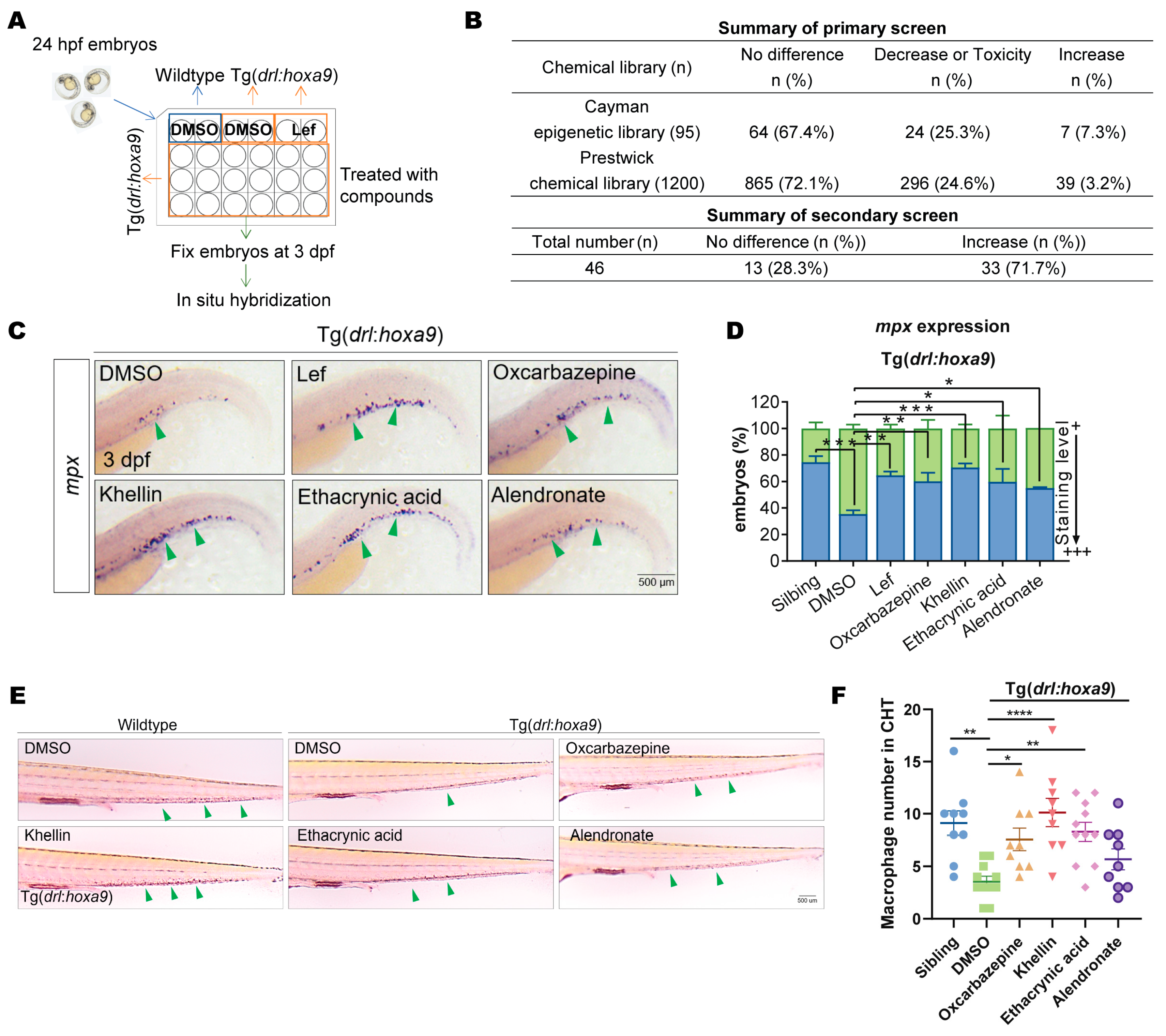 Ijms 25 07798 g002 Ijms 25 07798 g002