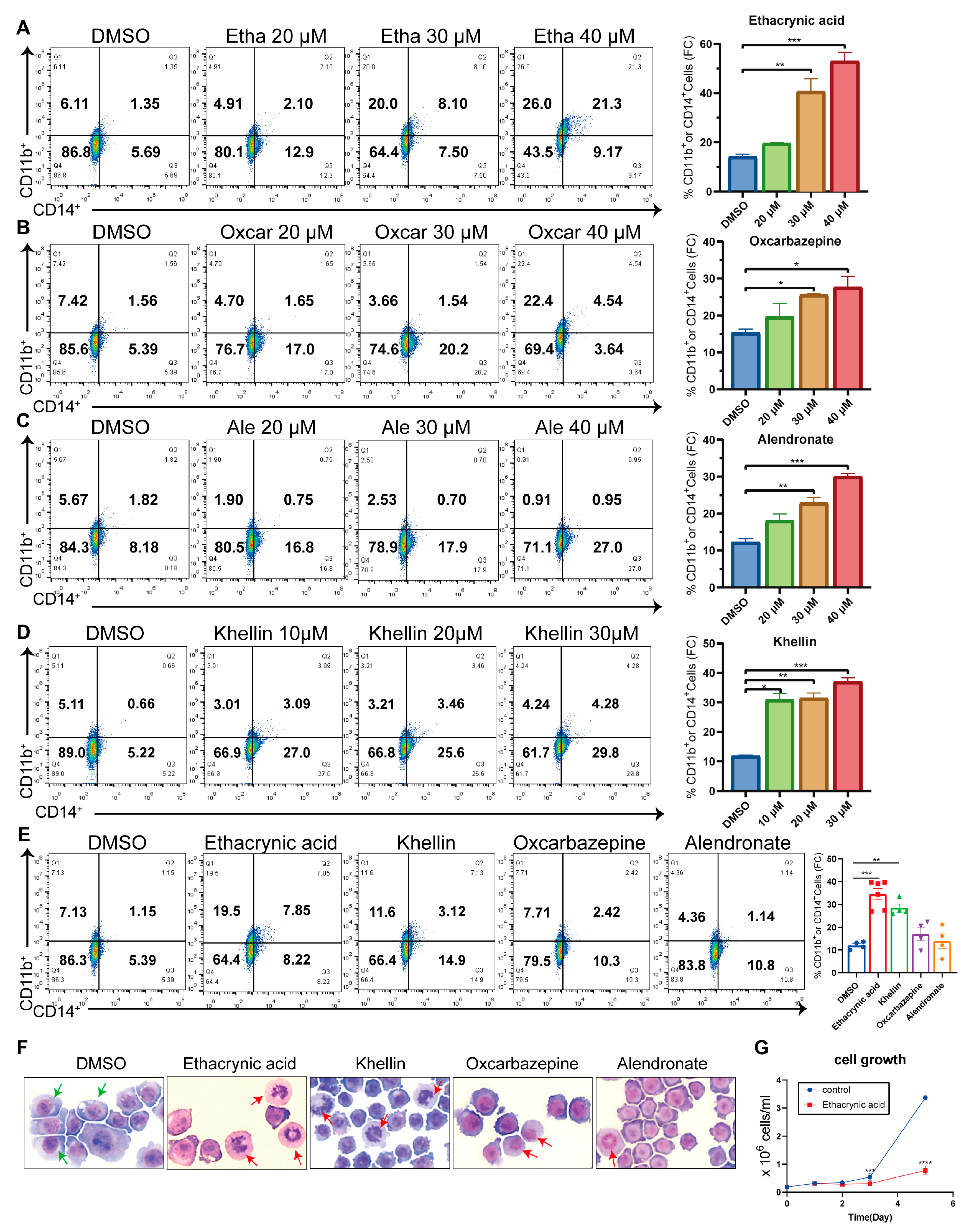 Ijms 25 07798 g003 Ijms 25 07798 g003