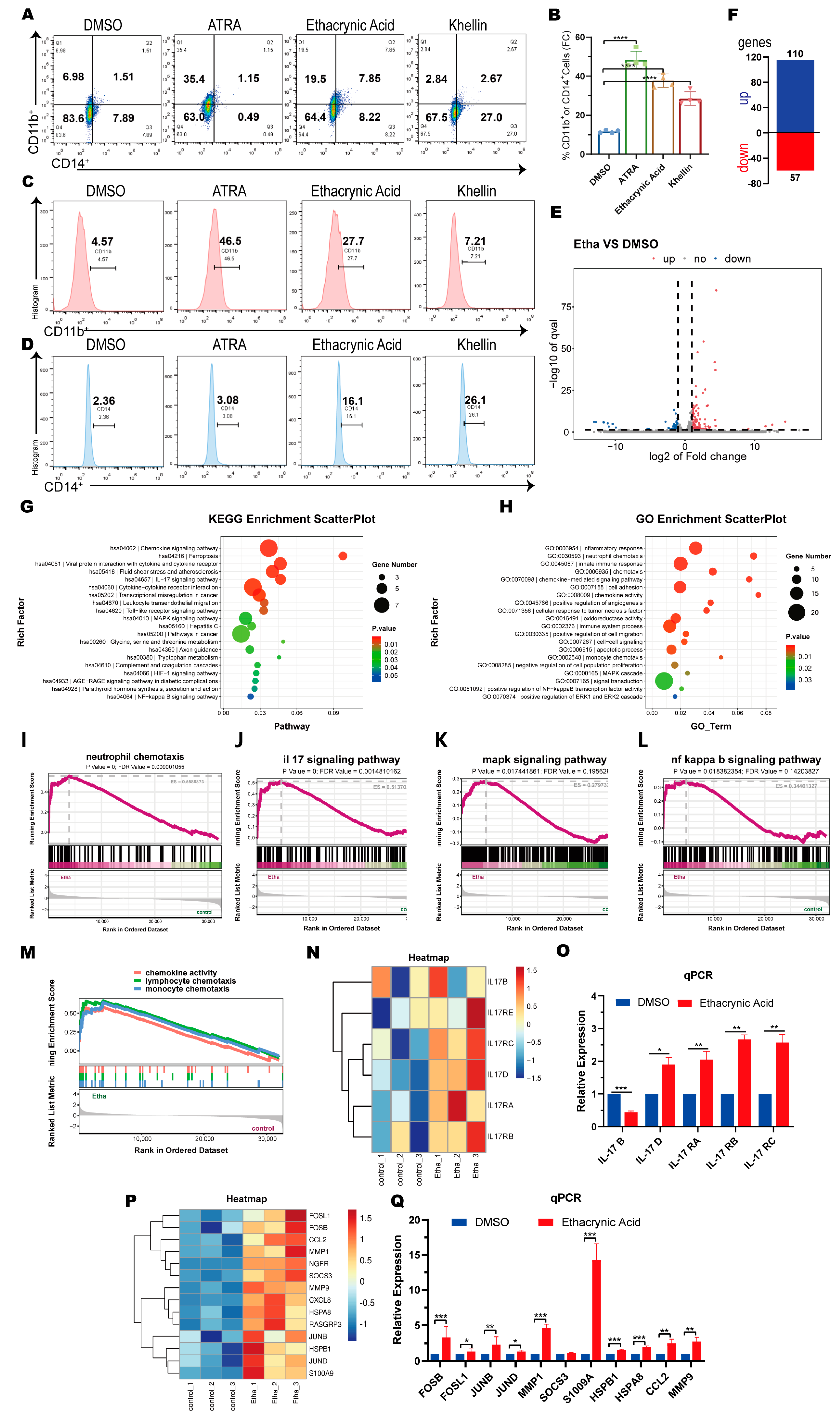 Ijms 25 07798 g004 Ijms 25 07798 g004