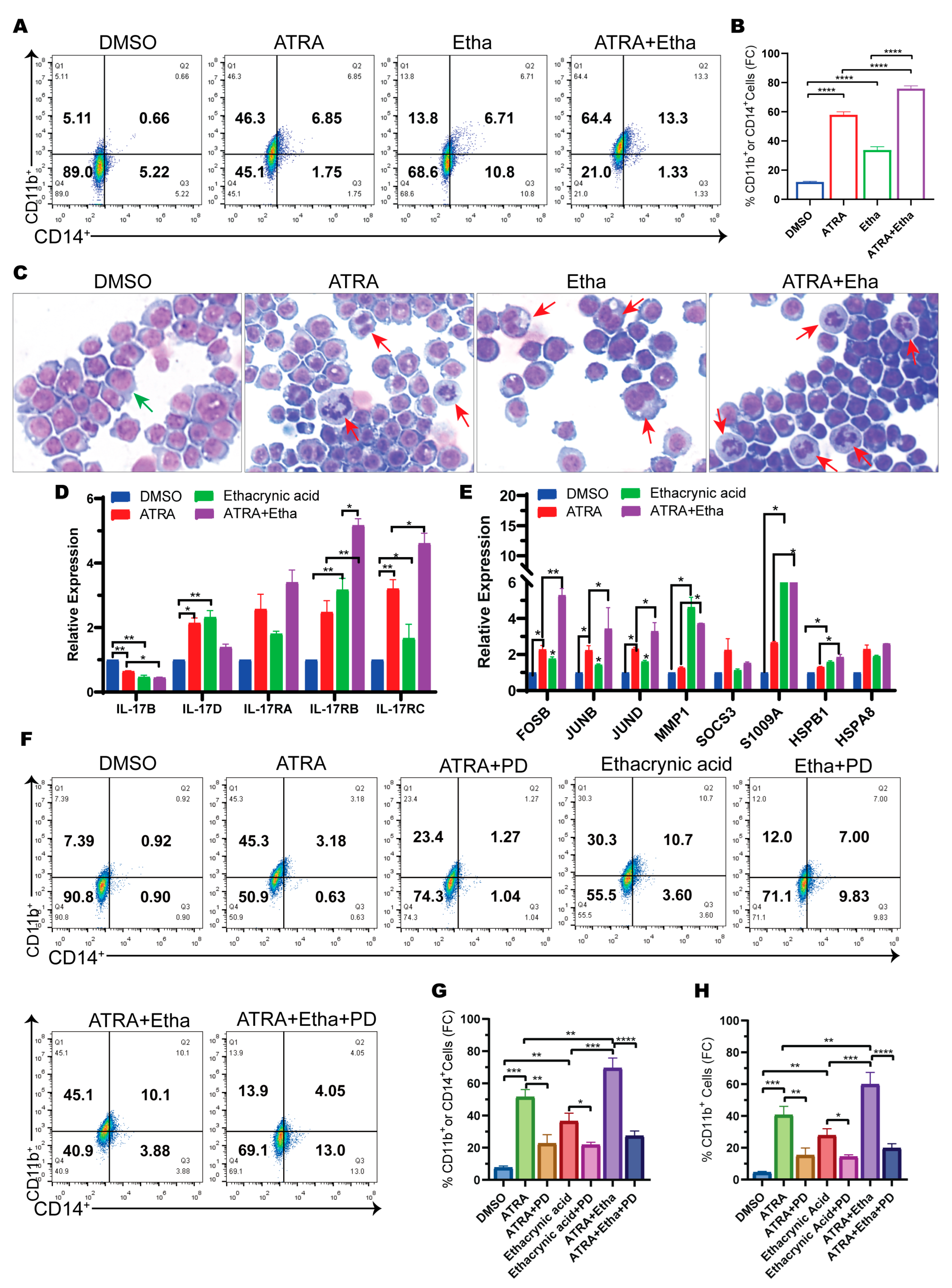Ijms 25 07798 g005 Ijms 25 07798 g005