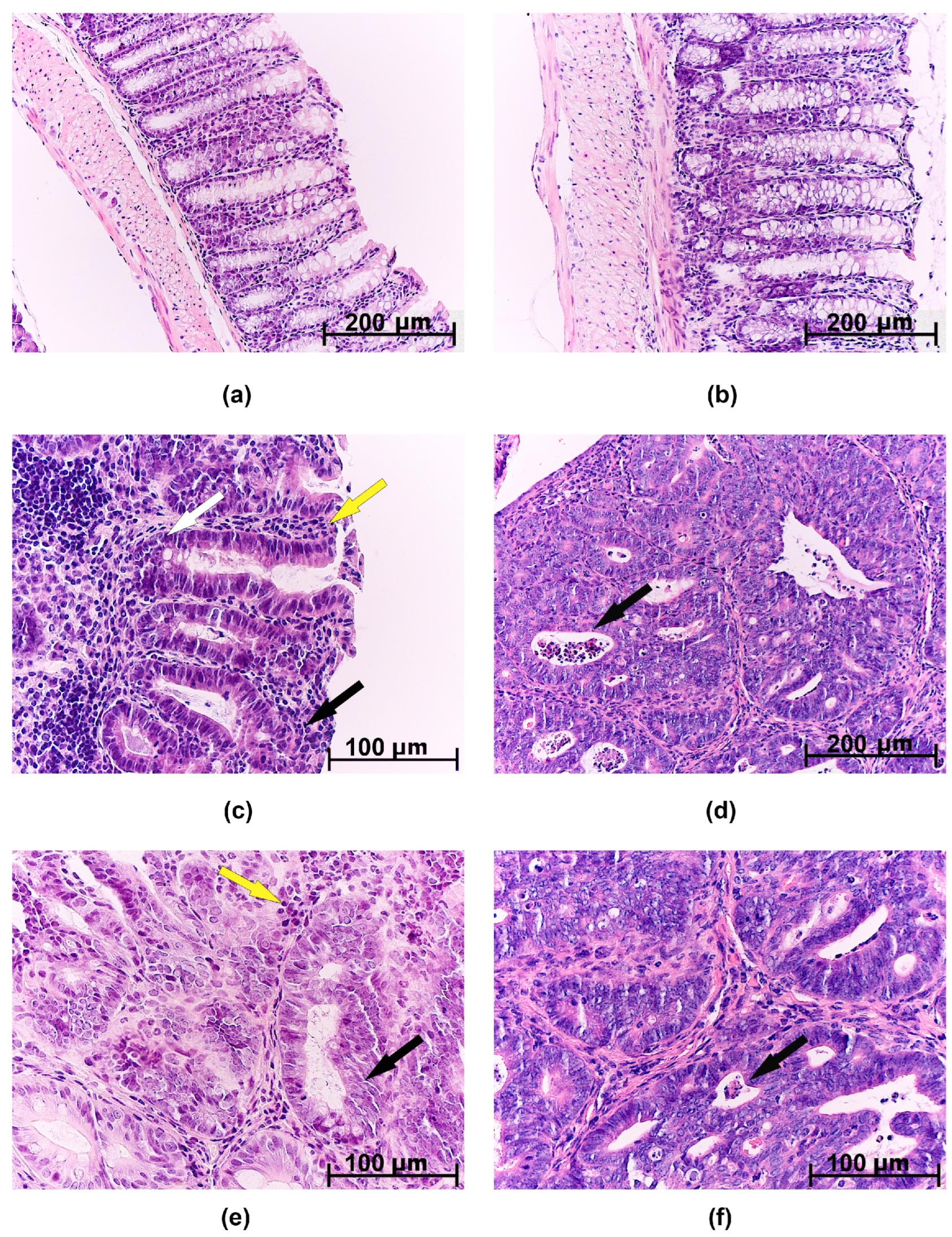 Ijms 25 07801 g003 Ijms 25 07801 g003