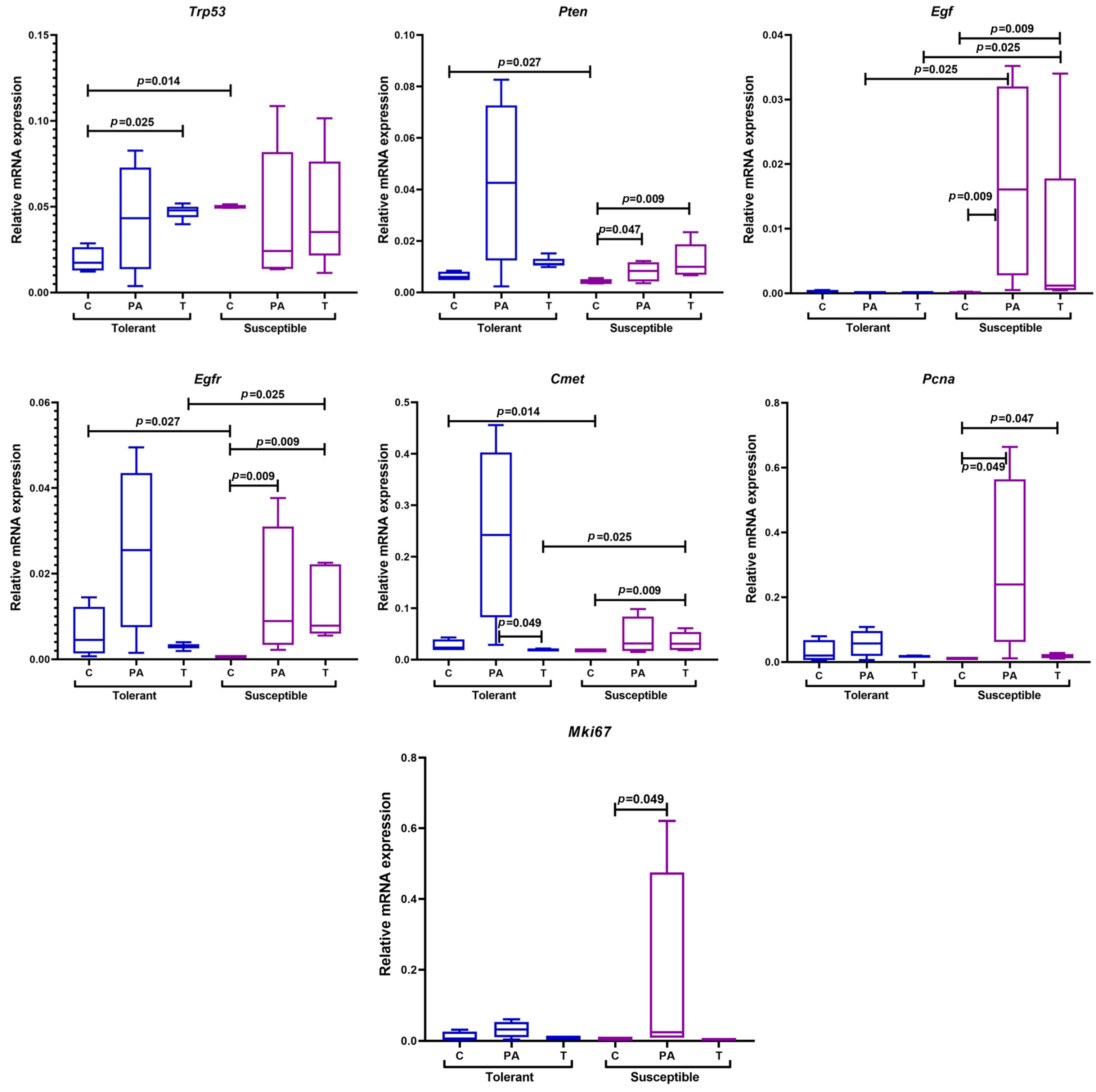 Ijms 25 07801 g008 Ijms 25 07801 g008