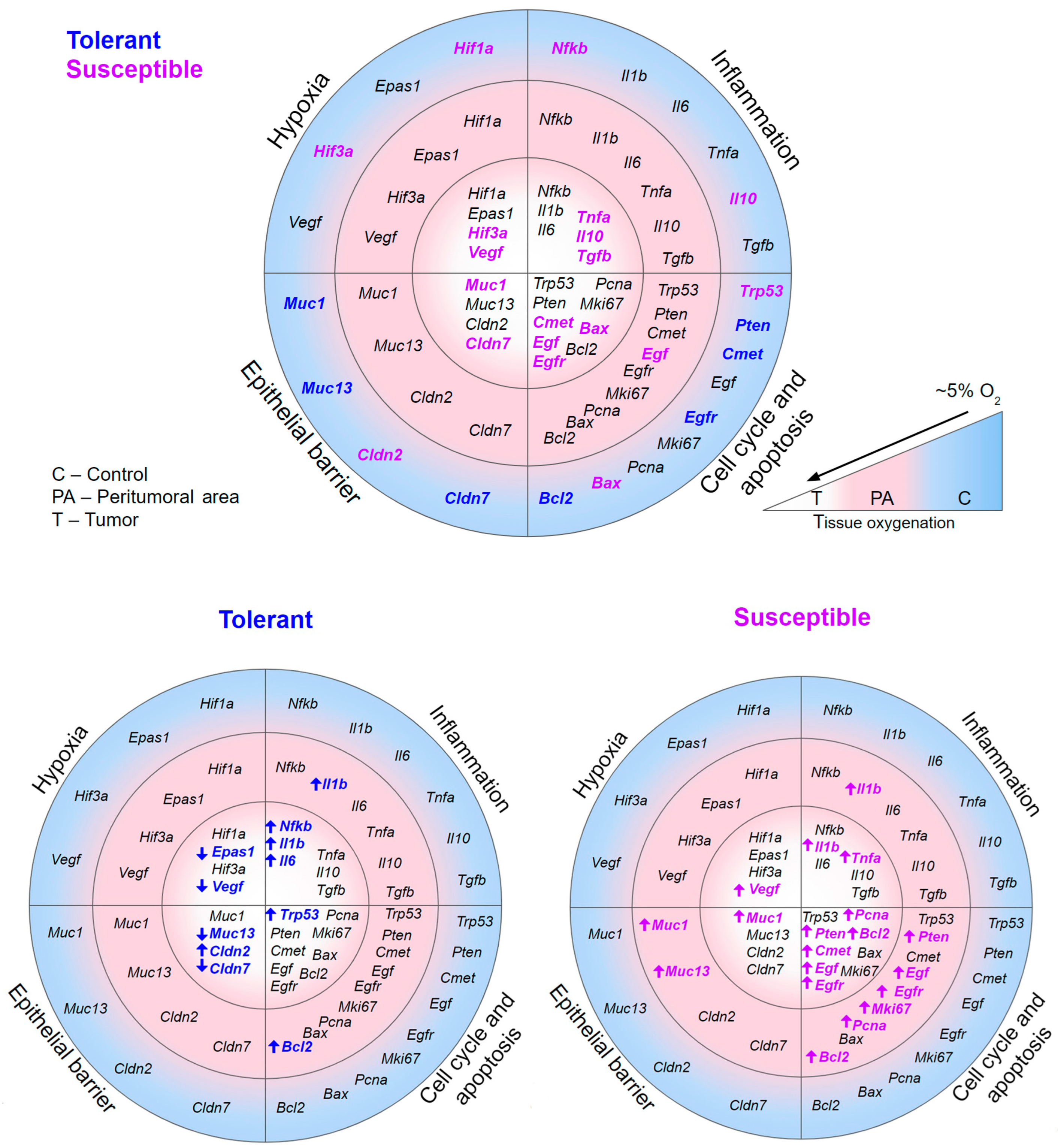 Ijms 25 07801 g011 Ijms 25 07801 g011