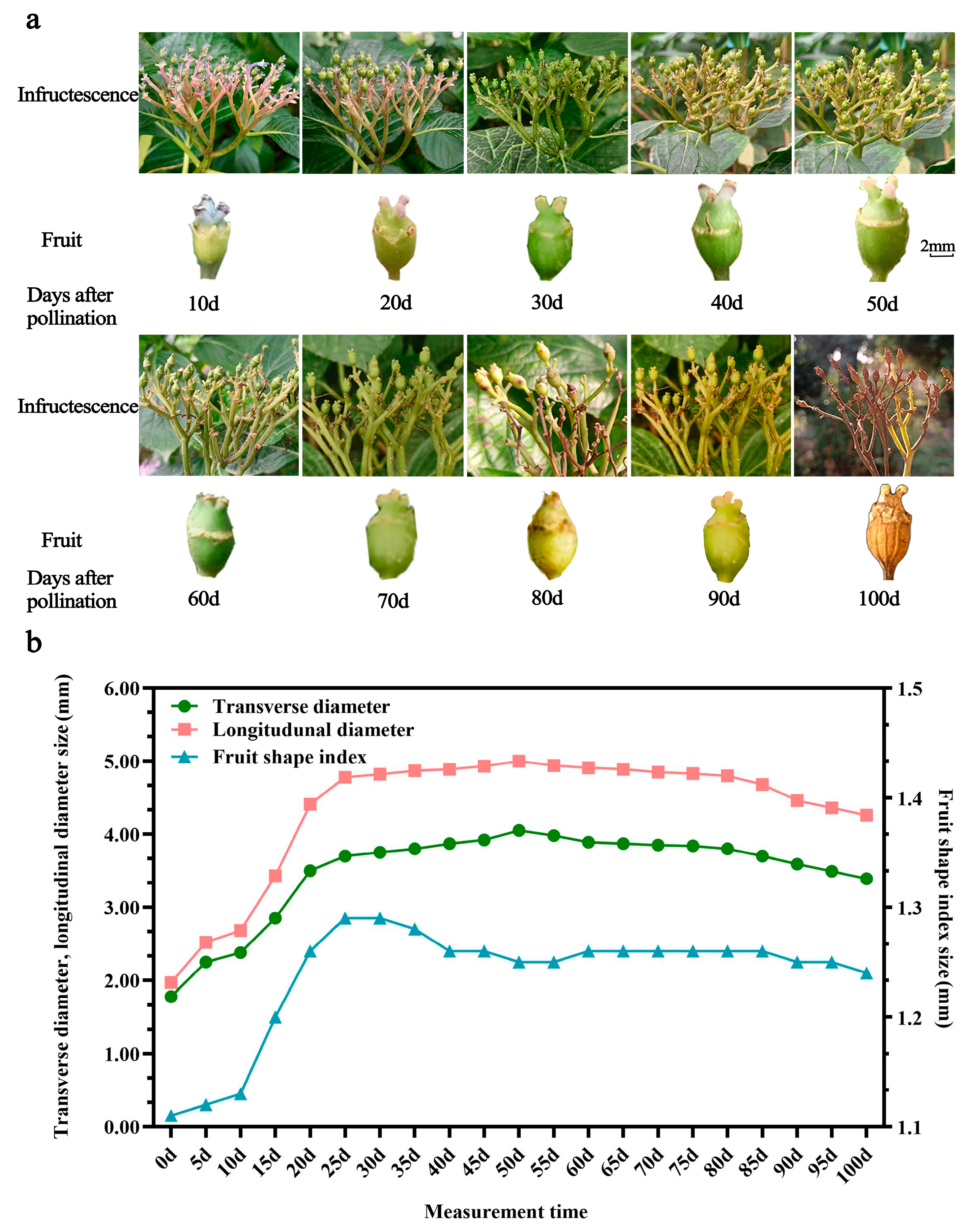 Ijms 25 07812 g001 Ijms 25 07812 g001