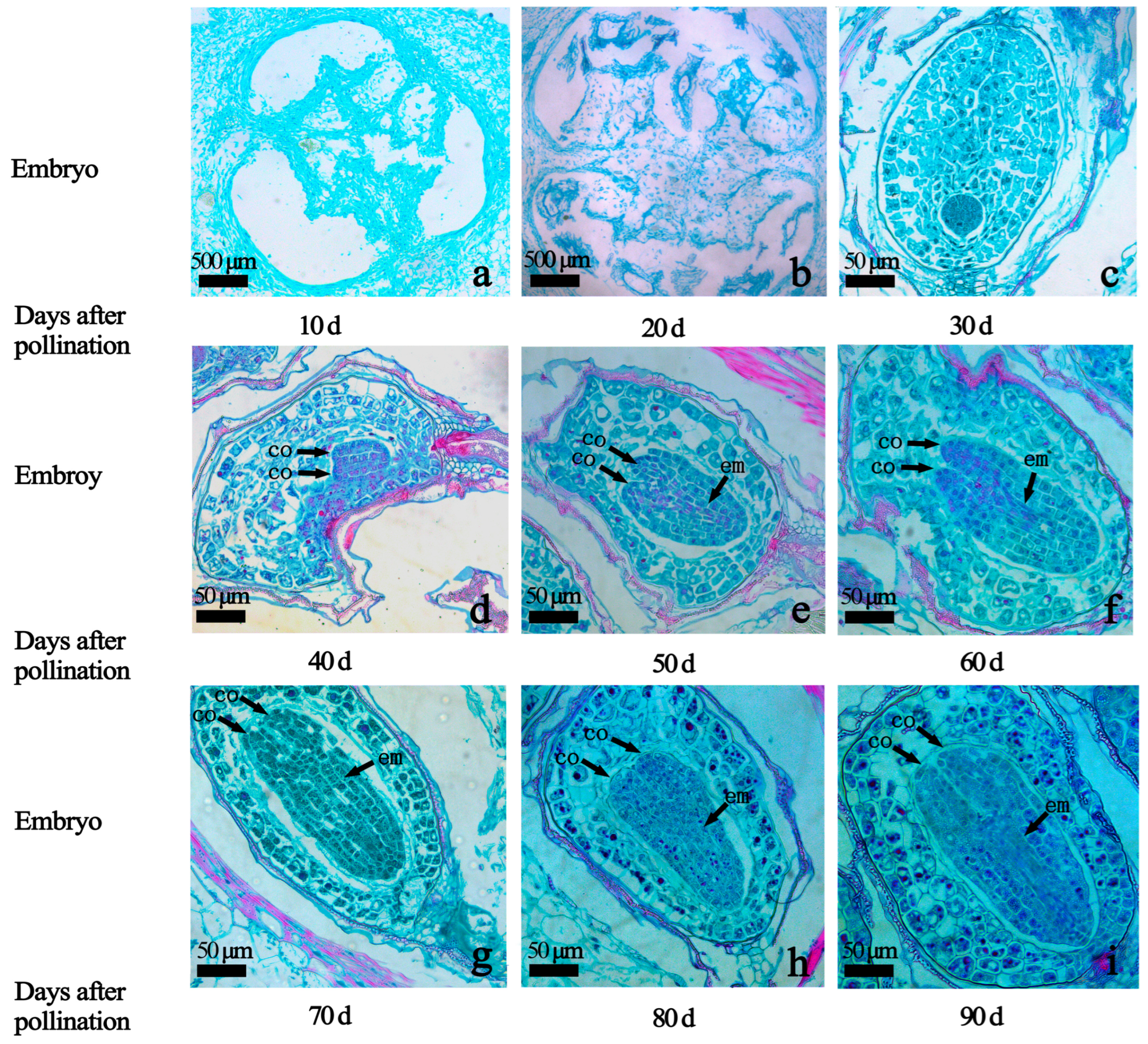 Ijms 25 07812 g002 Ijms 25 07812 g002