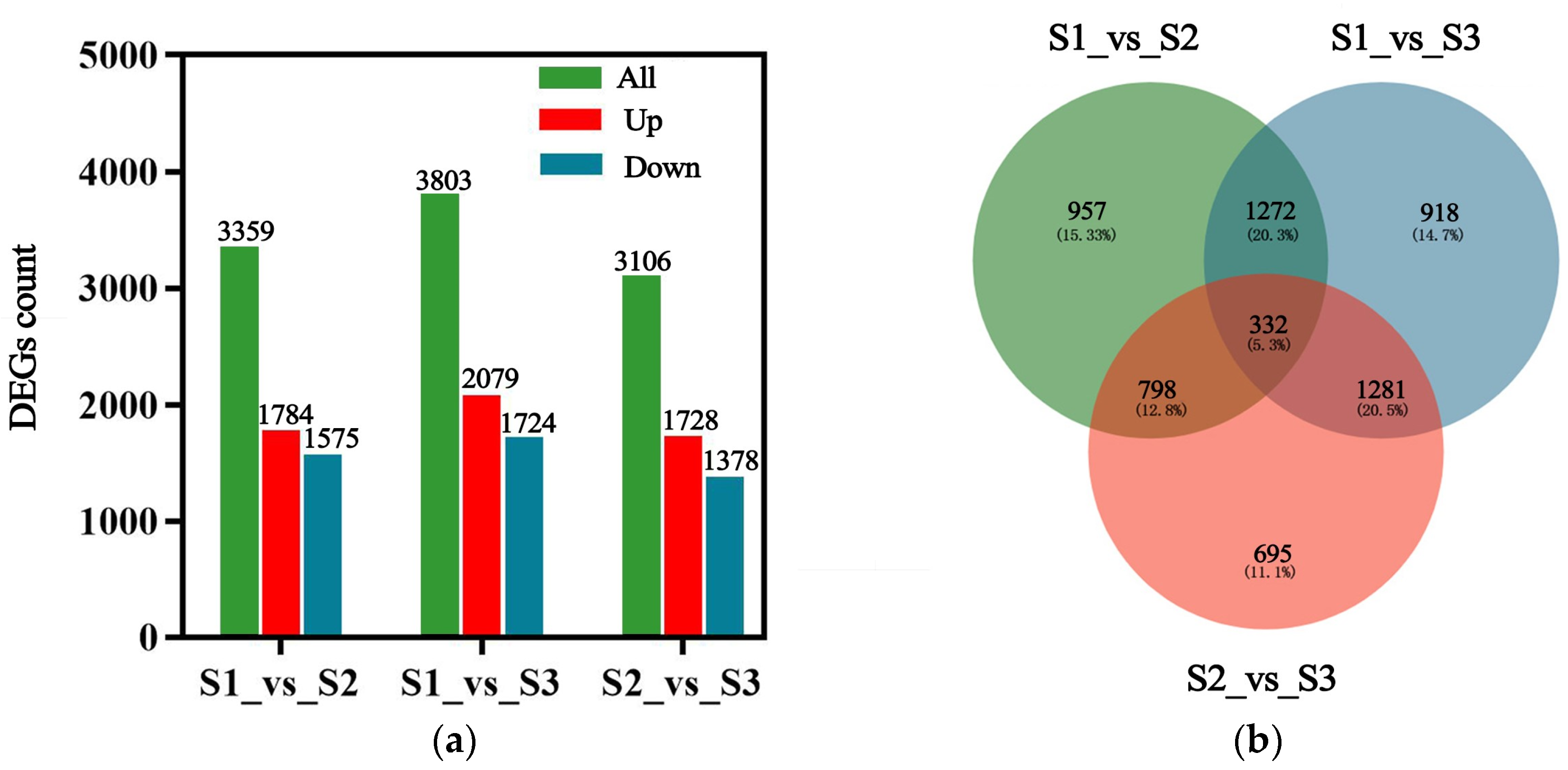 Ijms 25 07812 g004 Ijms 25 07812 g004