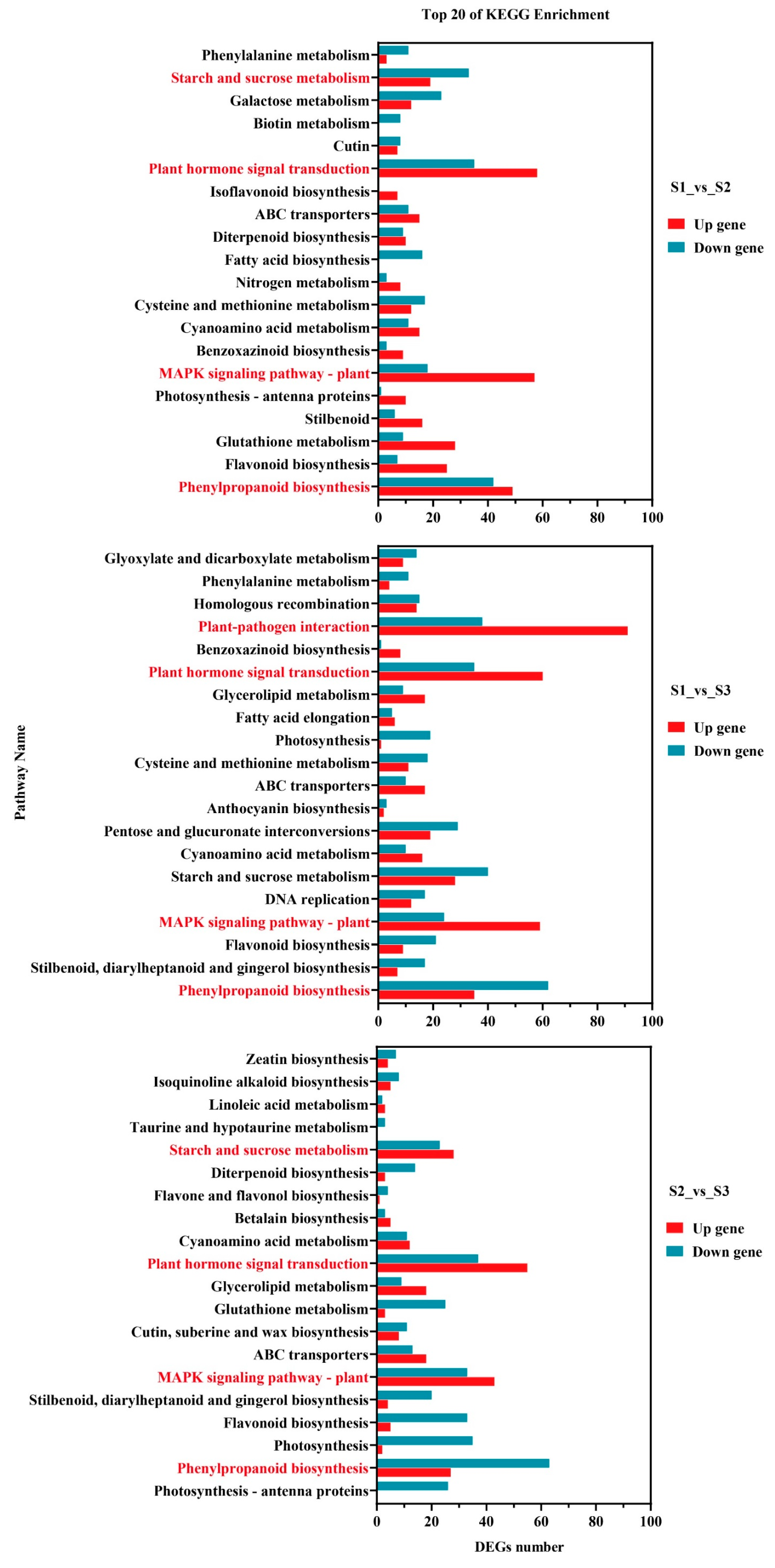 Ijms 25 07812 g006 Ijms 25 07812 g006