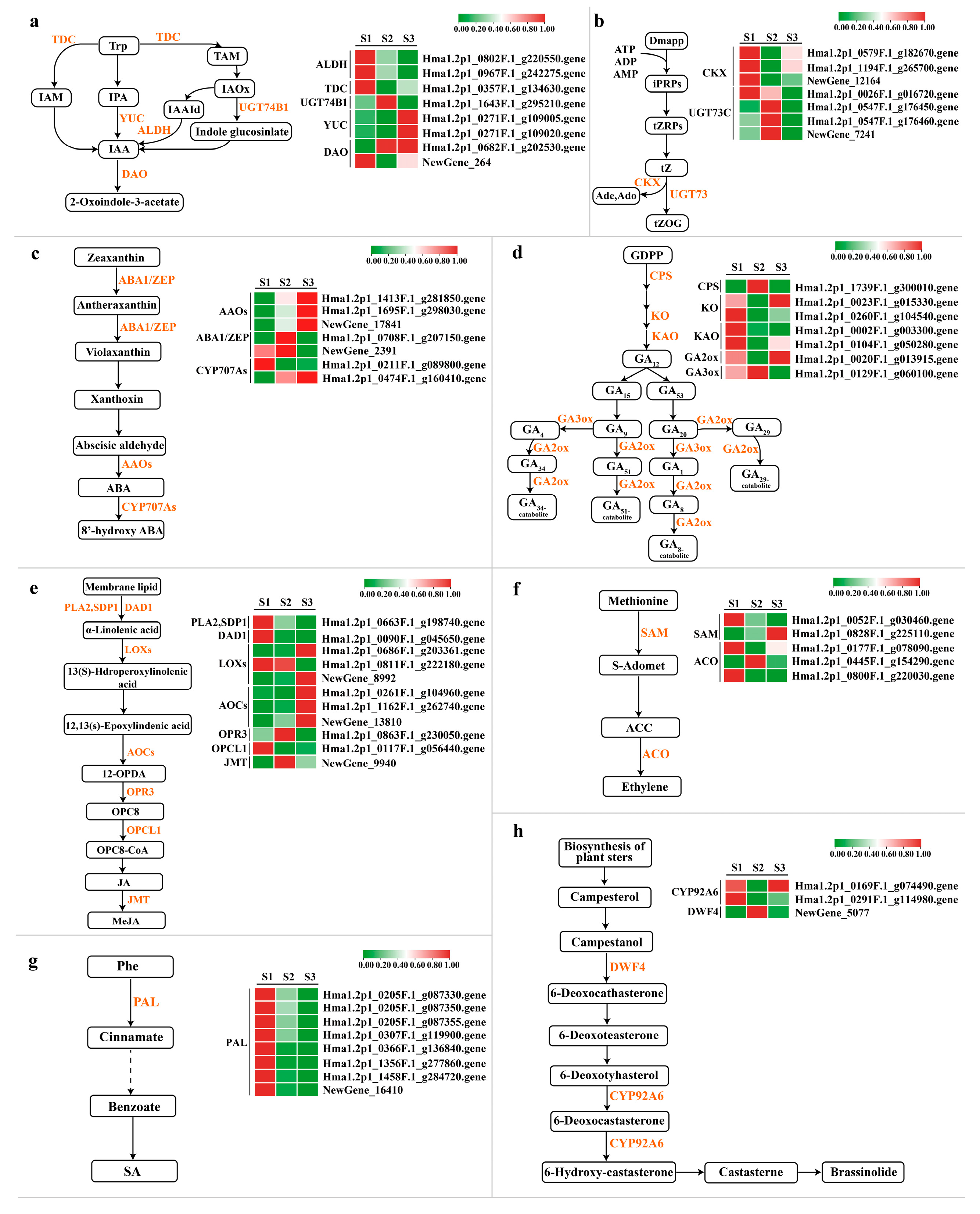 Ijms 25 07812 g007 Ijms 25 07812 g007