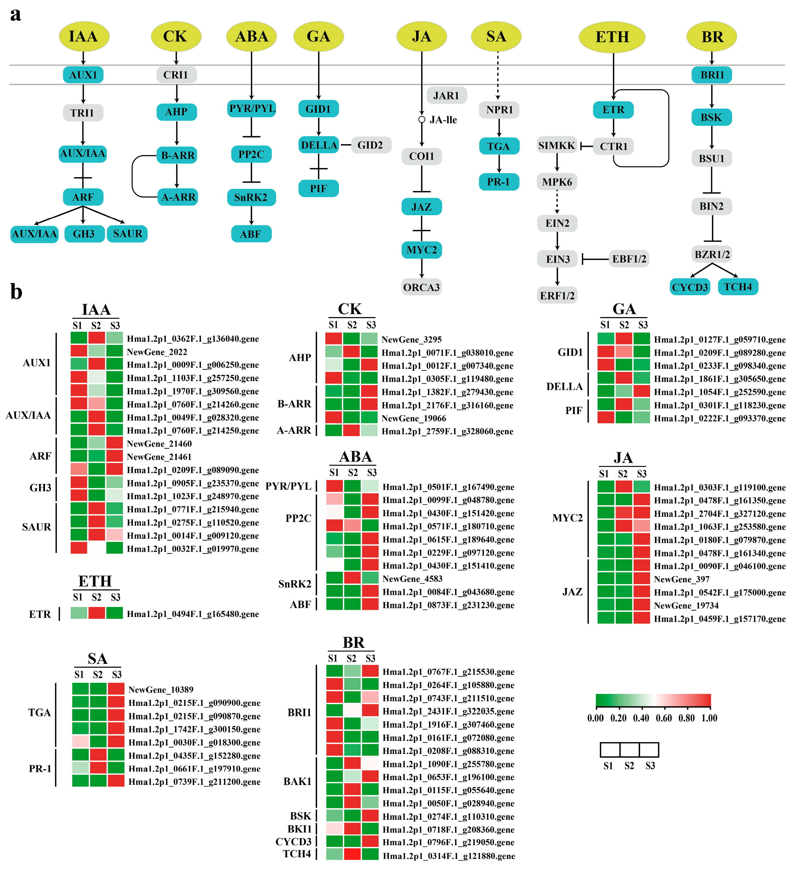 Ijms 25 07812 g008 Ijms 25 07812 g008