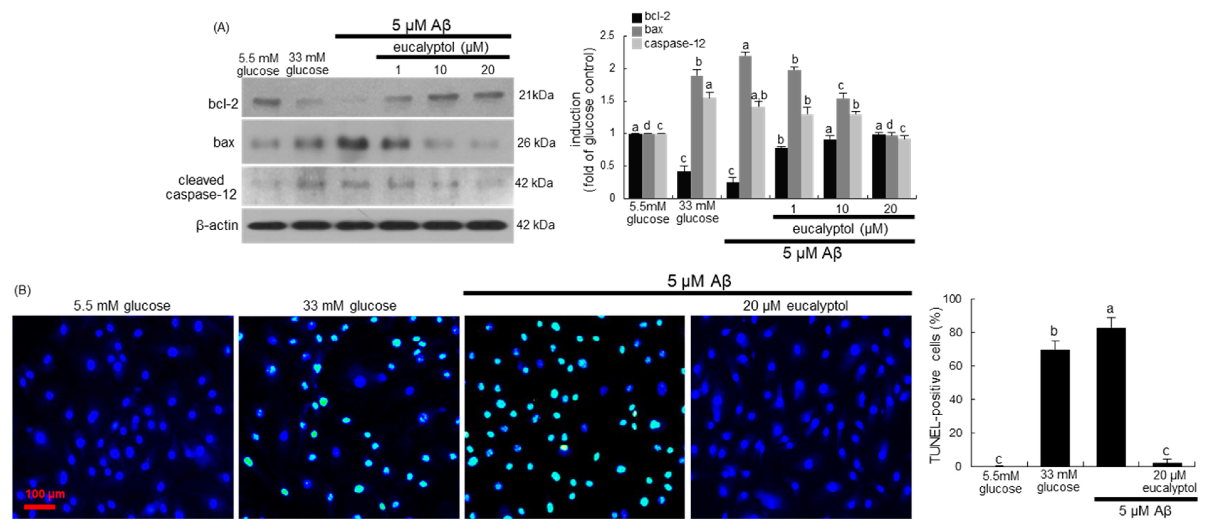Ijms 25 07826 g002 Ijms 25 07826 g002