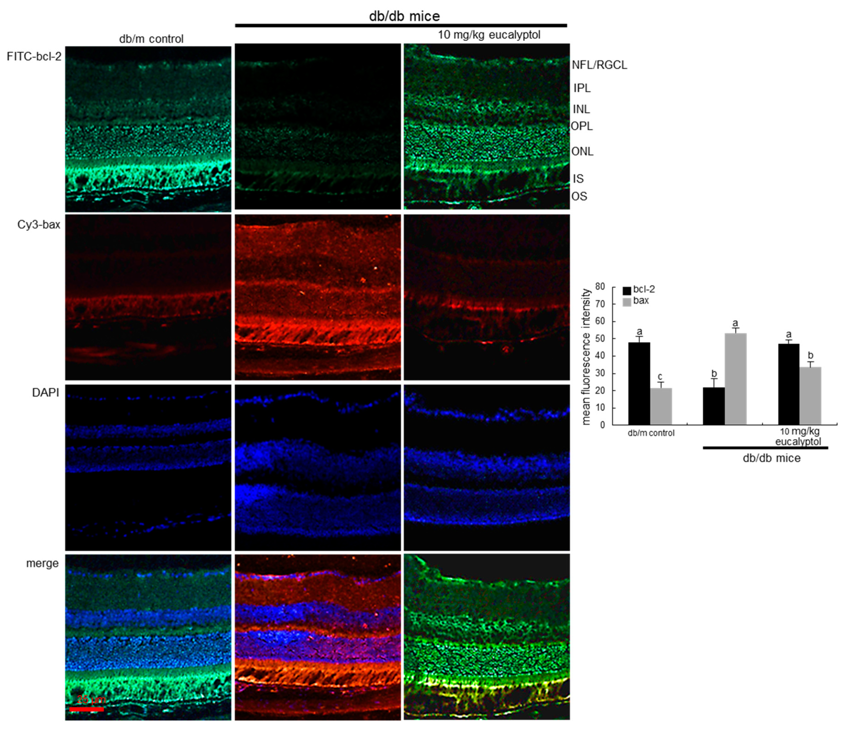 Ijms 25 07826 g003 Ijms 25 07826 g003