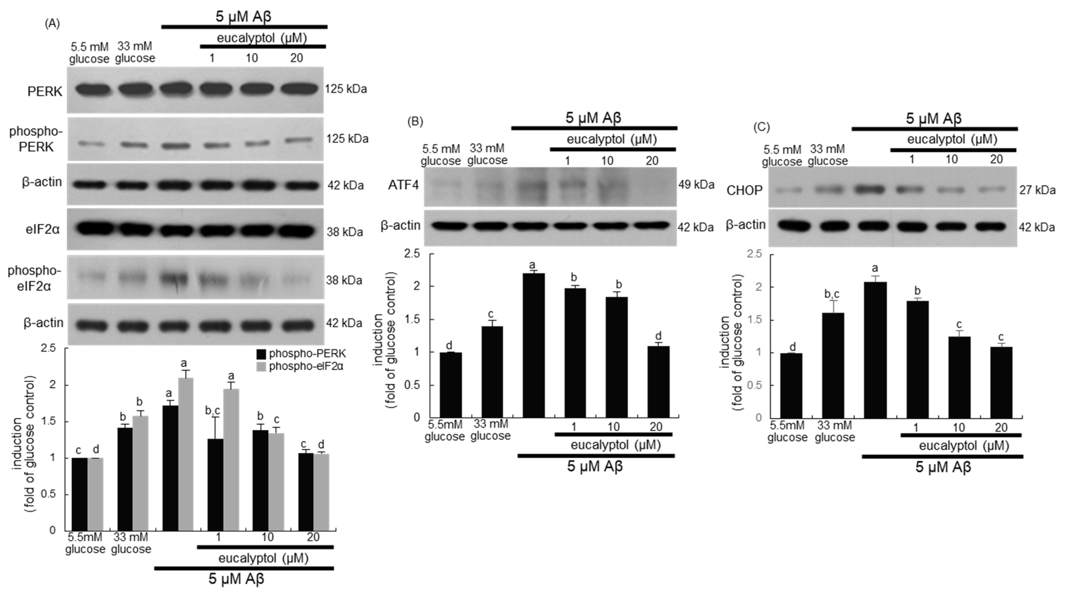 Ijms 25 07826 g004 Ijms 25 07826 g004