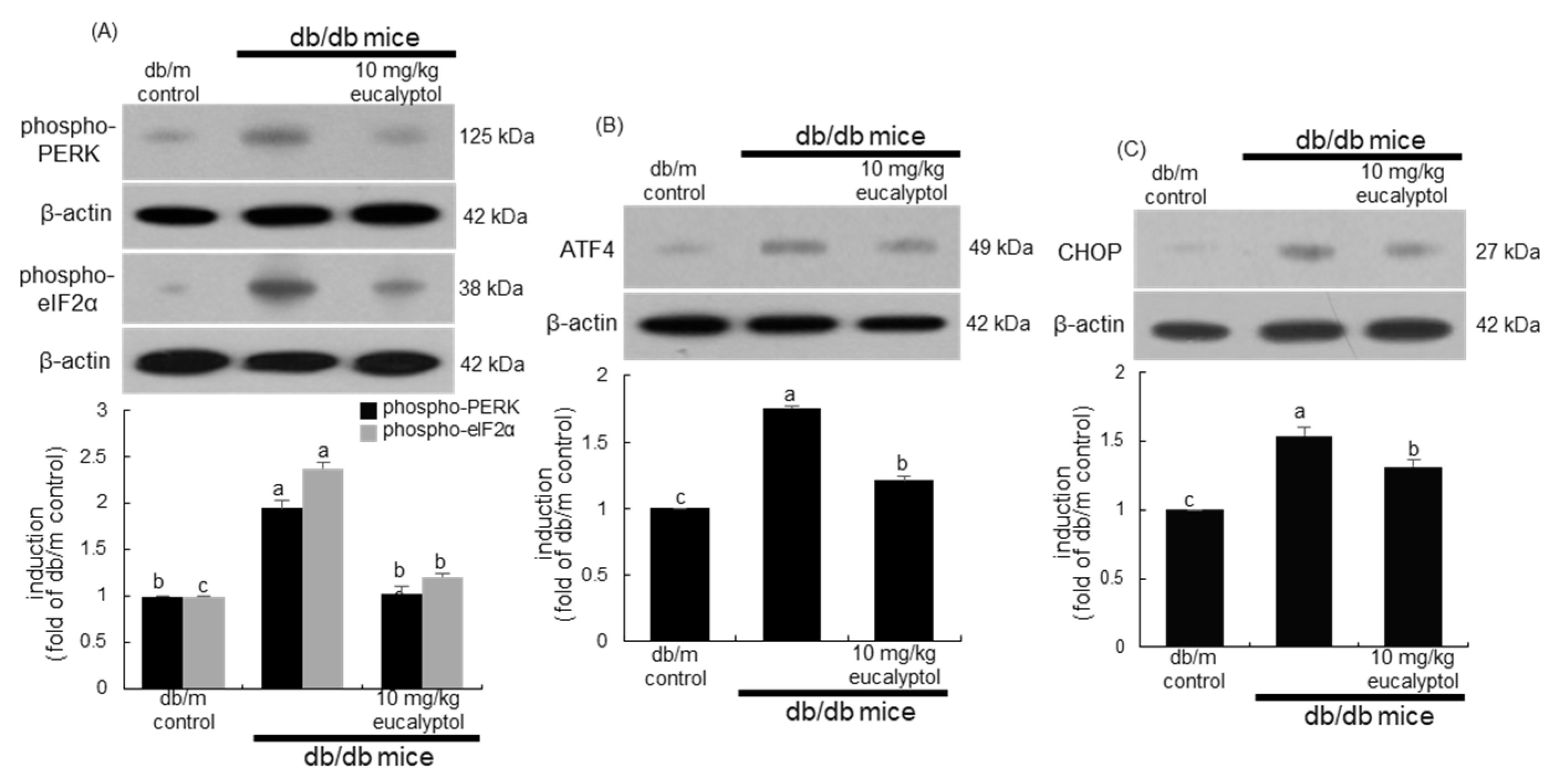 Ijms 25 07826 g005 Ijms 25 07826 g005