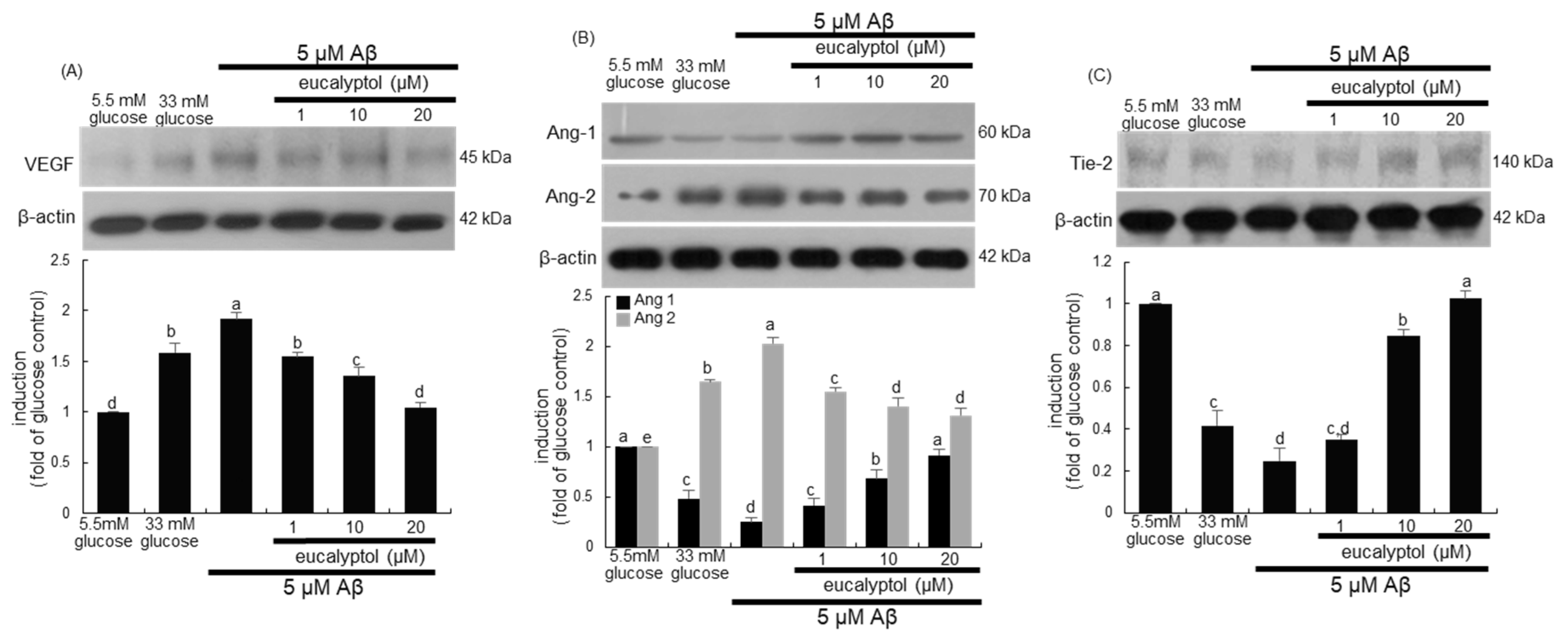 Ijms 25 07826 g006 Ijms 25 07826 g006